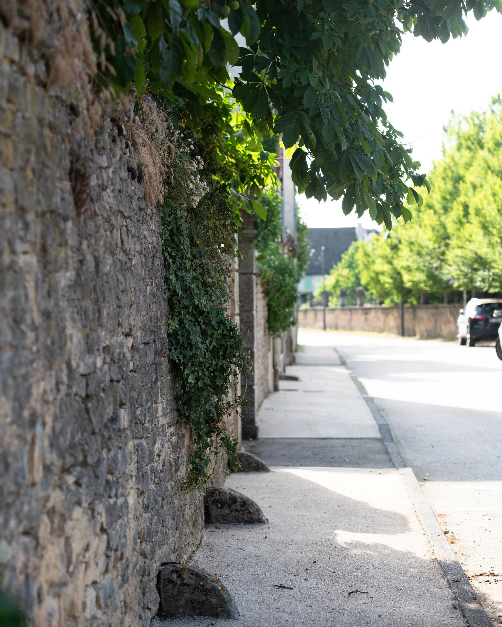Bourgogne-French-Views-Chris-Handel-Photographer-09-2027.jpg
