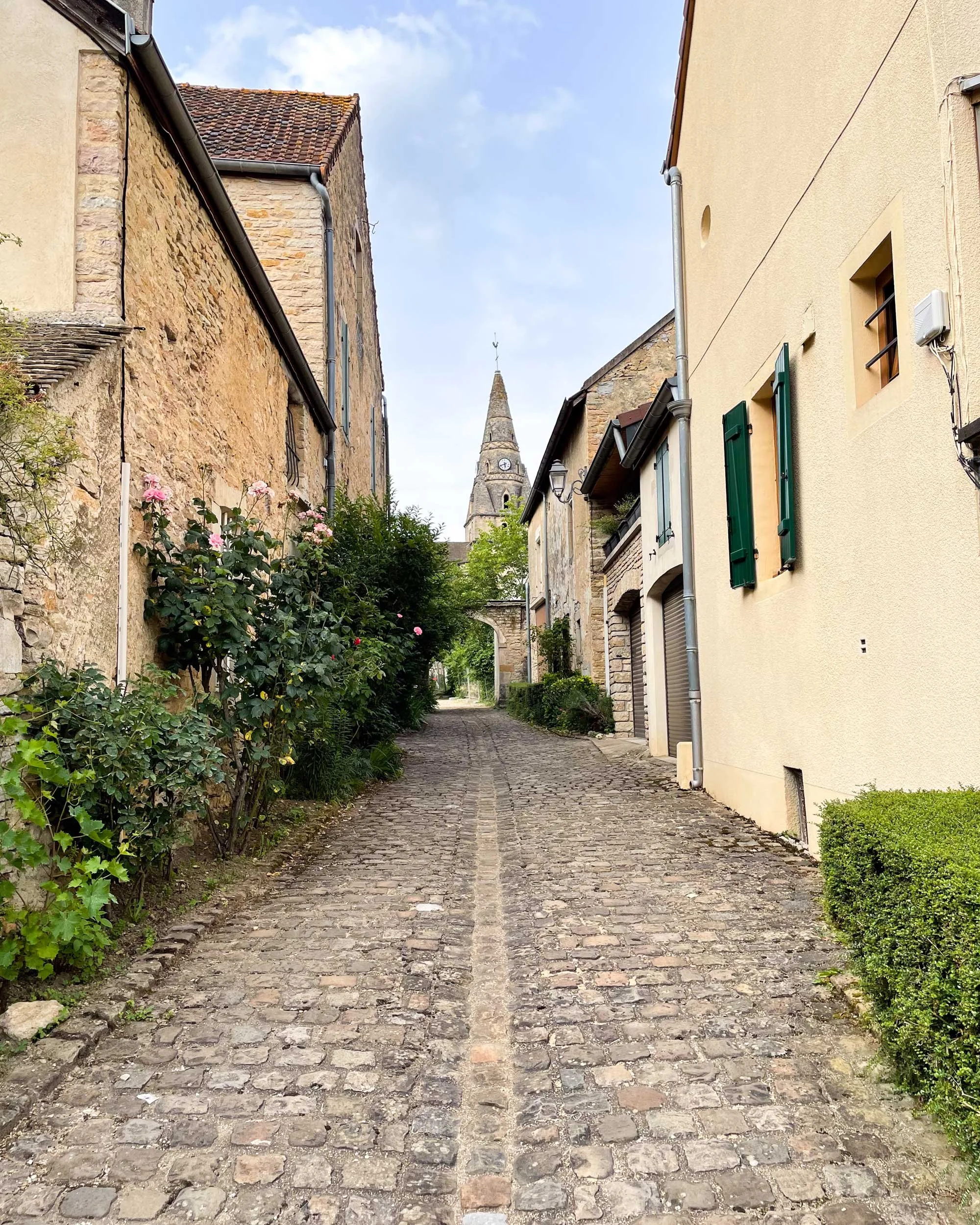 Bourgogne-French-Views-Chris-Handel-Photographer-42-3107.jpg
