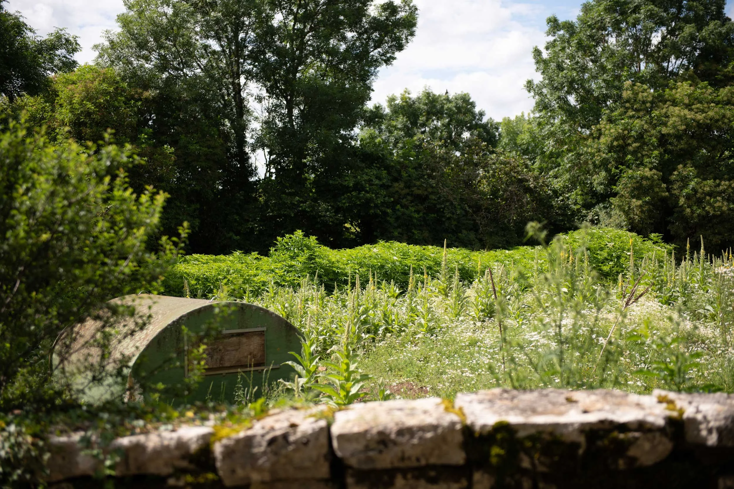 Bourgogne-French-Views-Chris-Handel-Photographer-29-2333.jpg