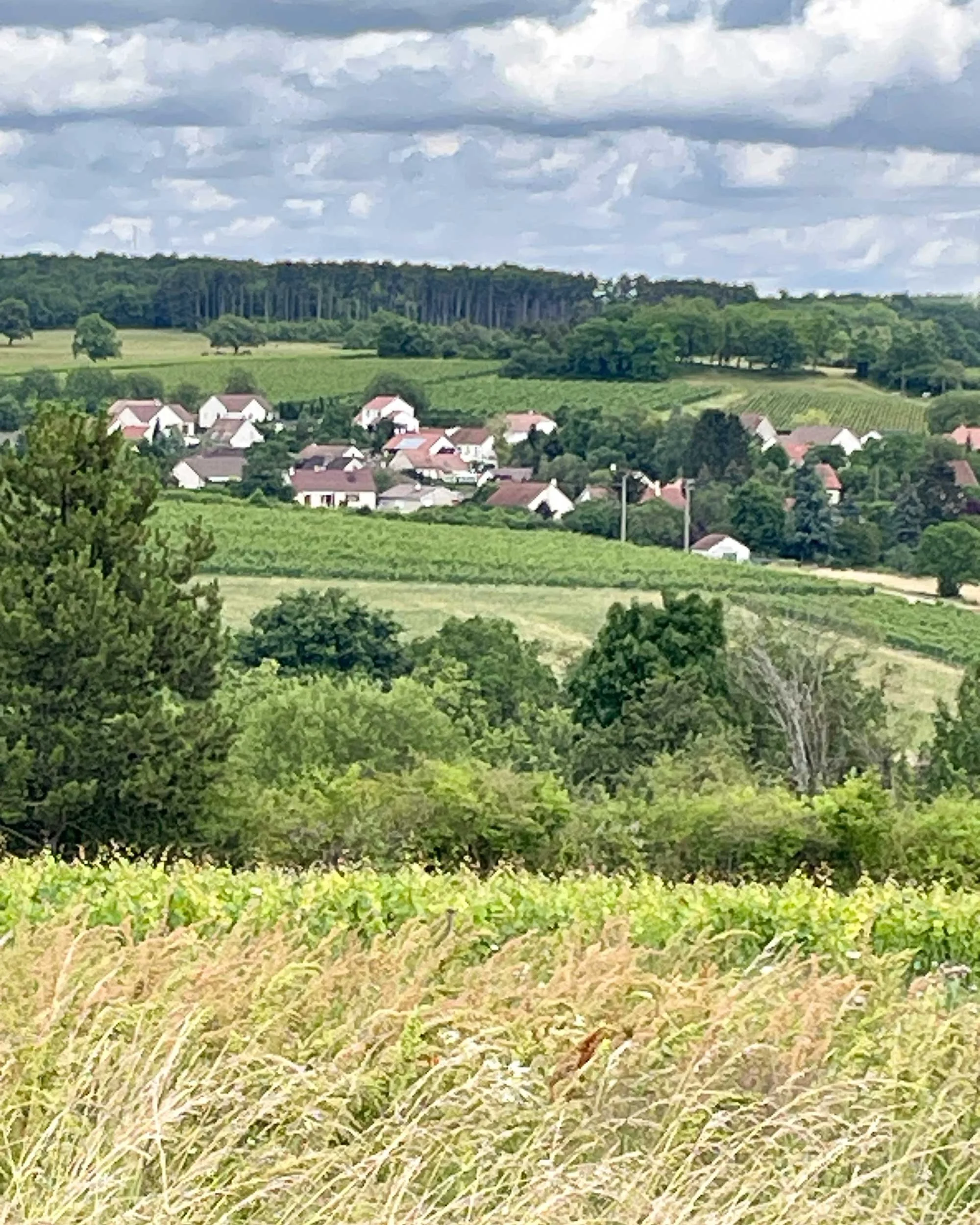 Bourgogne-French-Views-Chris-Handel-Photographer-24-7185.jpg