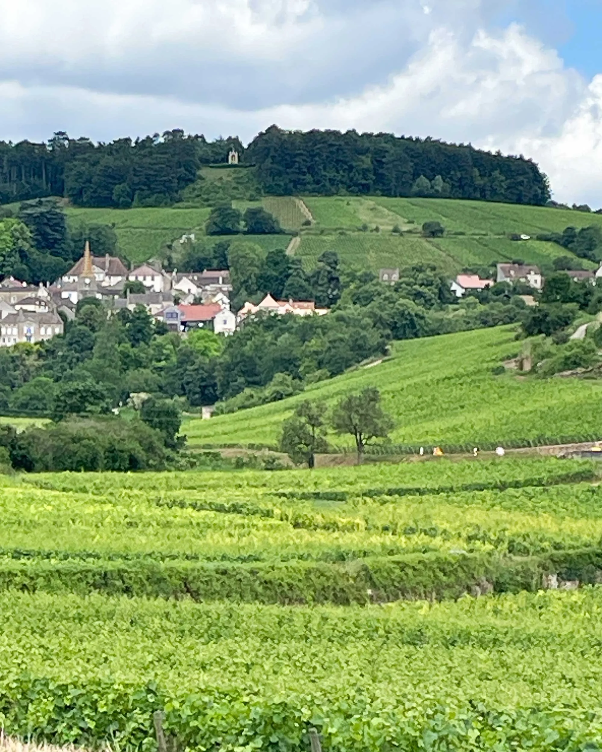 Bourgogne-French-Views-Chris-Handel-Photographer-37-7219.jpg
