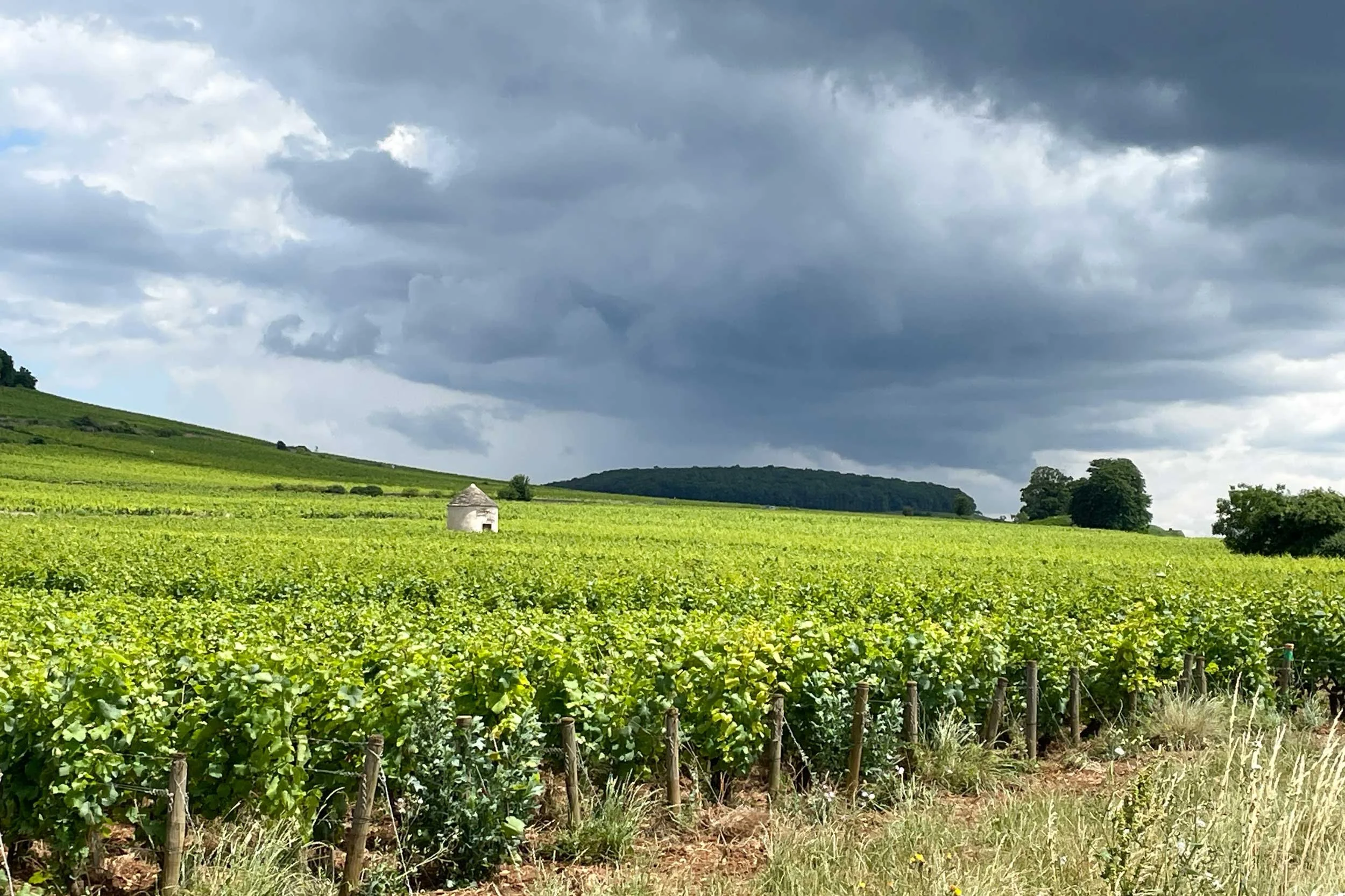 Bourgogne-French-Views-Chris-Handel-Photographer-20-7171.jpg