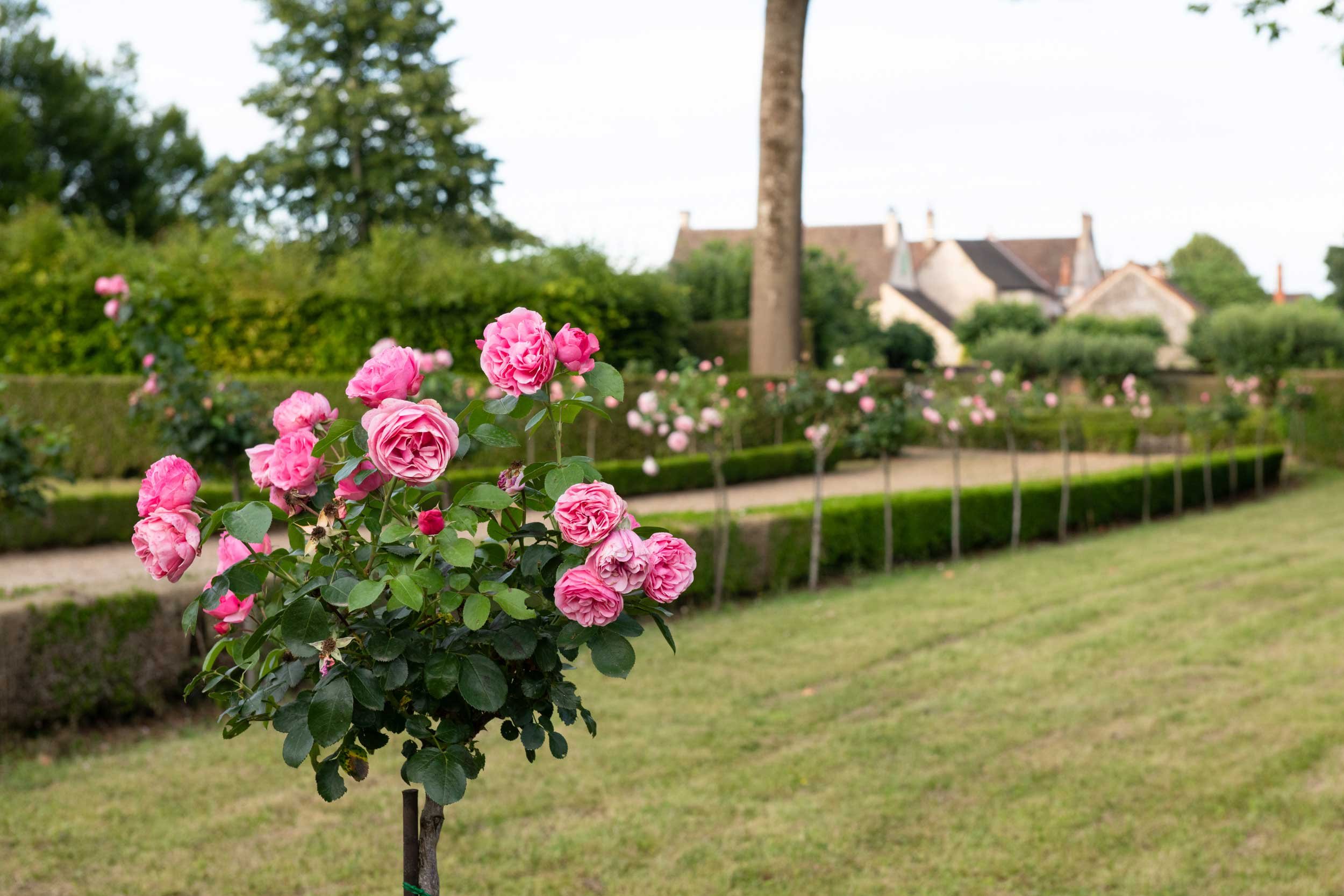 Bourgogne-French-Views-Chris-Handel-Photographer-10-2779.jpg