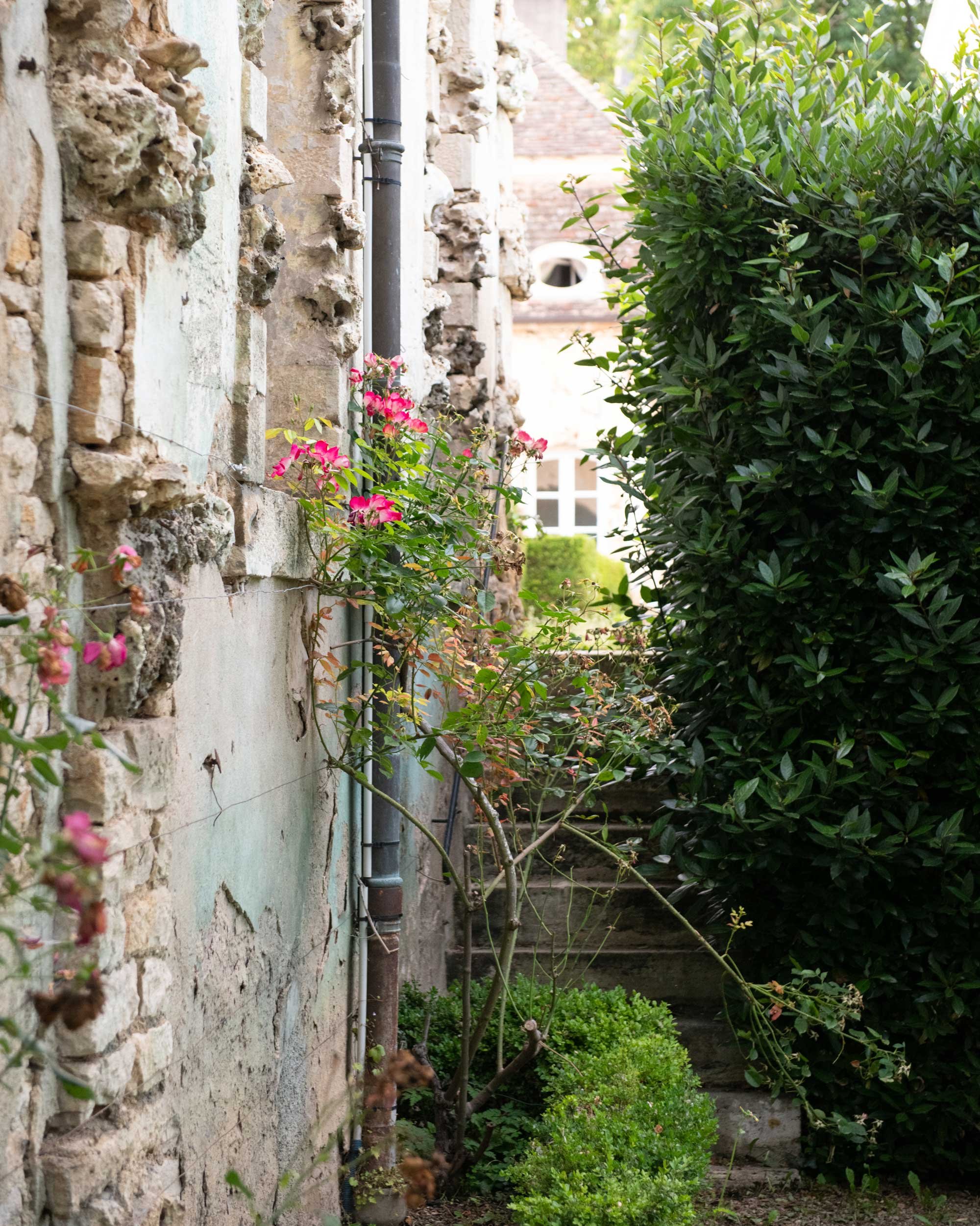 Bourgogne-French-Views-Chris-Handel-Photographer-25-2854.jpg