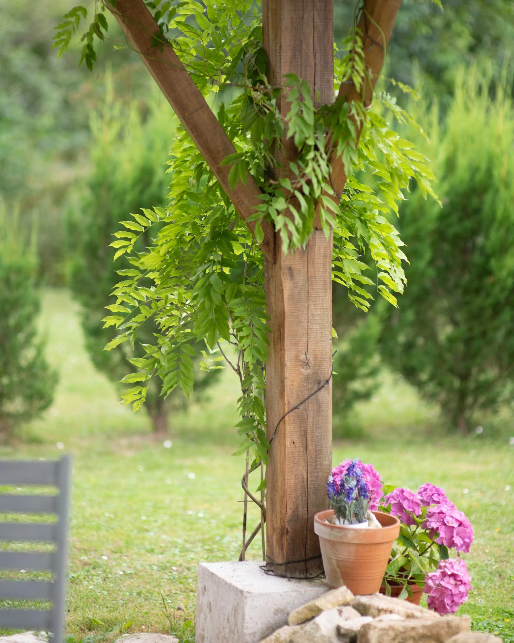 Charente-French-Views-Chris-Handel-Photographer-17-3104.jpg