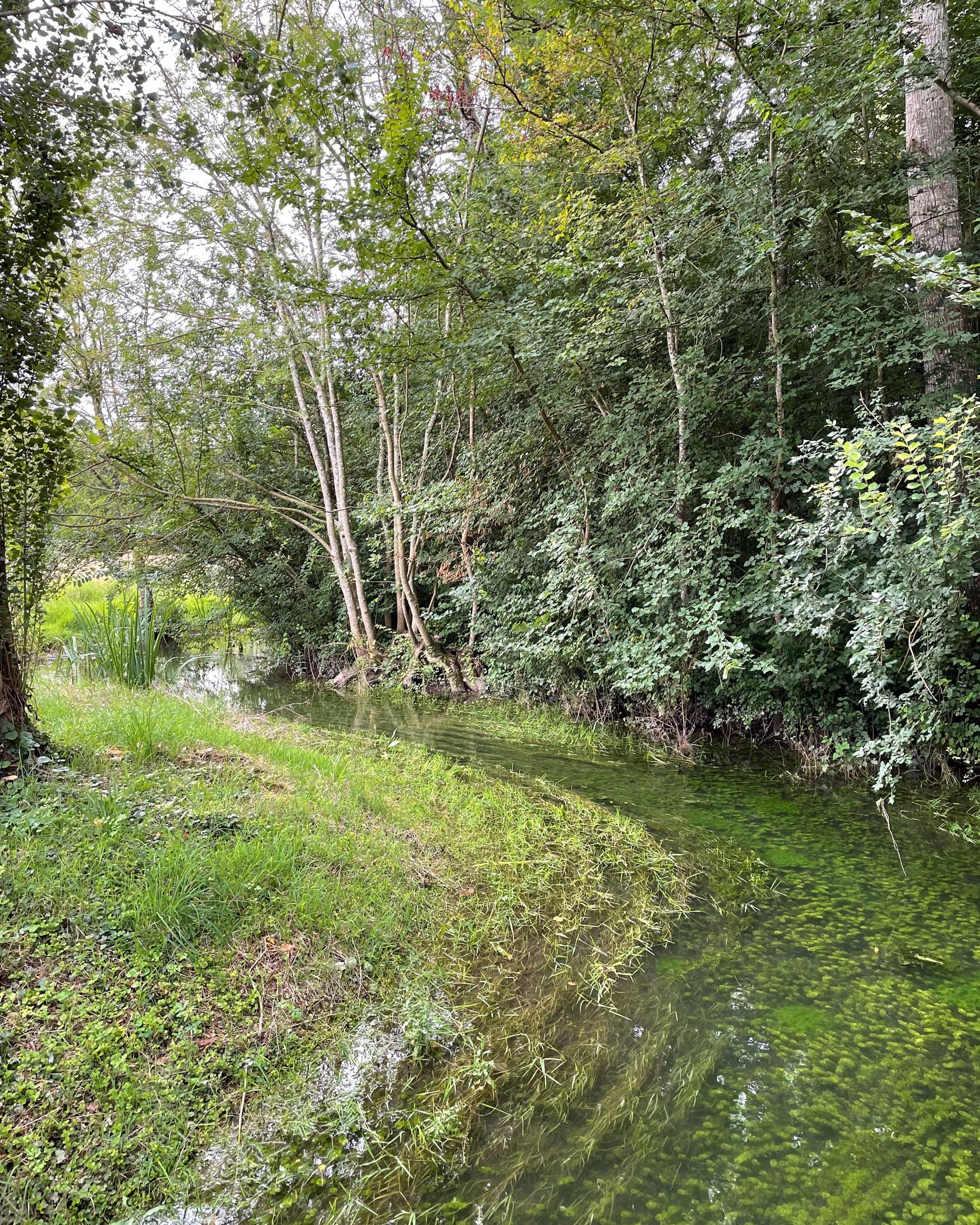 Charente-French-Views-Chris-Handel-Photographer-10-3358.jpg