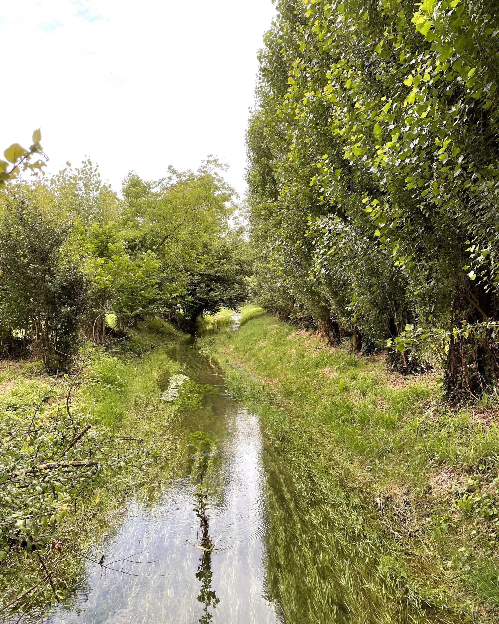 Charente-French-Views-Chris-Handel-Photographer-11-3359.jpg