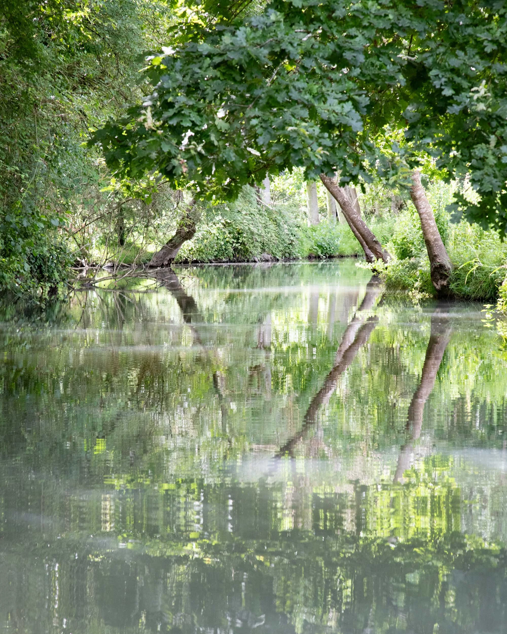 A perfect afternoon at Le Marais-Poitevin