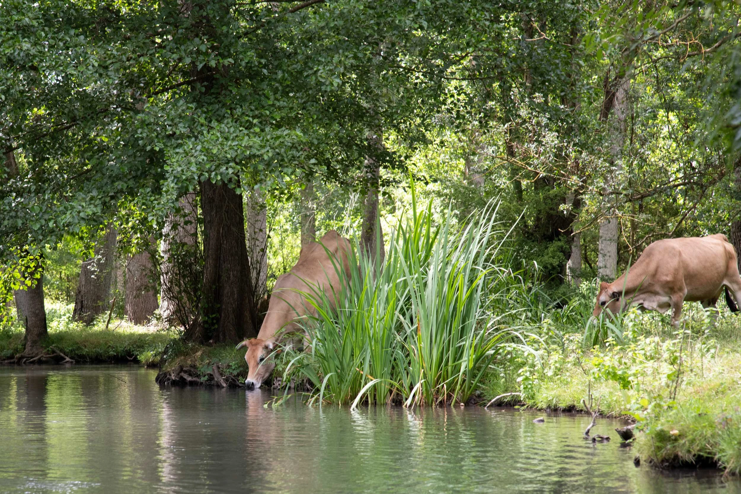 Charente-French-Views-Chris-Handel-Photographer-60-2966.jpg