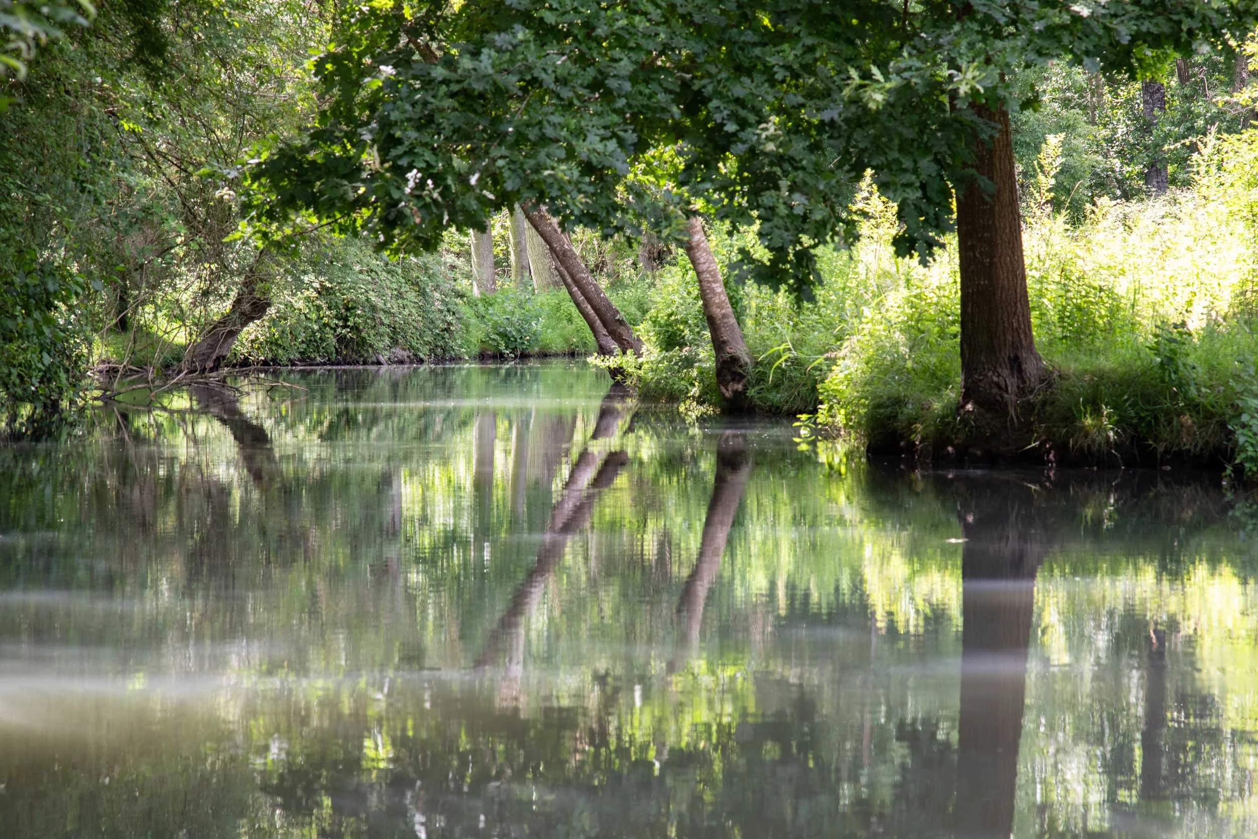 Charente-French-Views-Chris-Handel-Photographer-44-2933.jpg