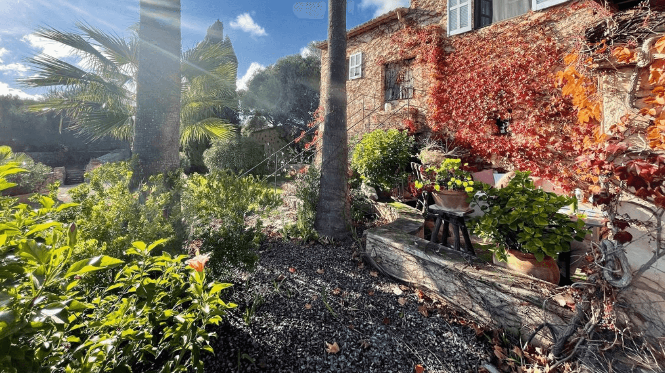 Garten mit verschiedenen Pflanzen, Palmen, einem Baumstamm, einer roten Hauswand mit Herbstlaub und Fenstern, und einer Liege. Die Sonne scheint durch den Himmel.