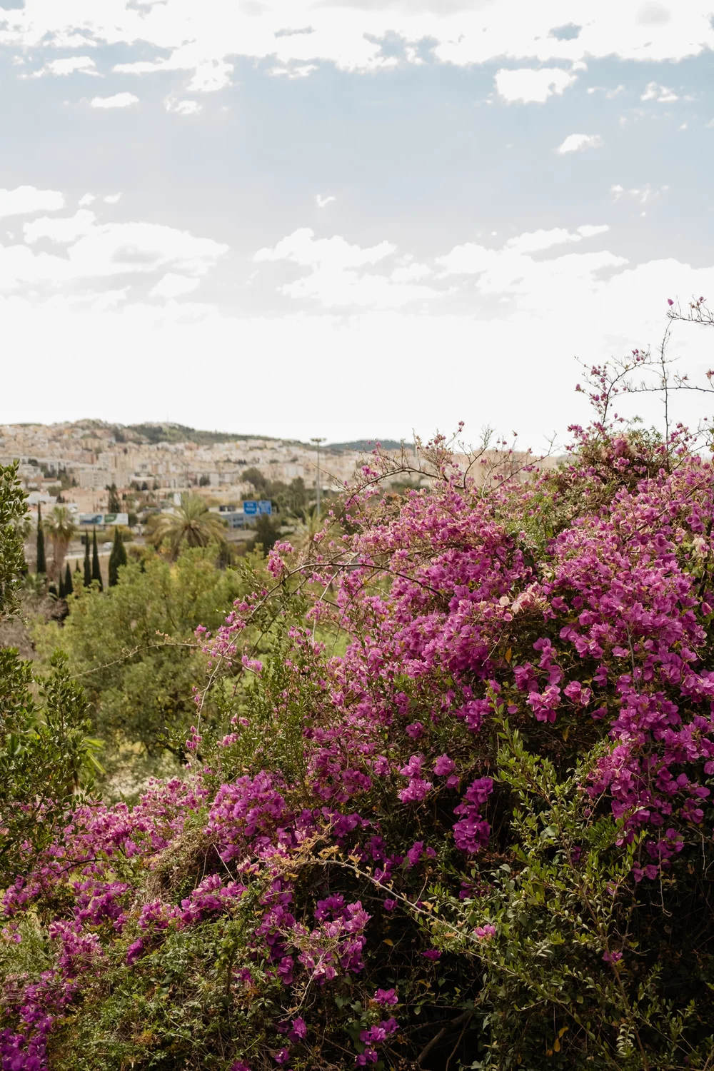 AVDV_Photography-120.JPG