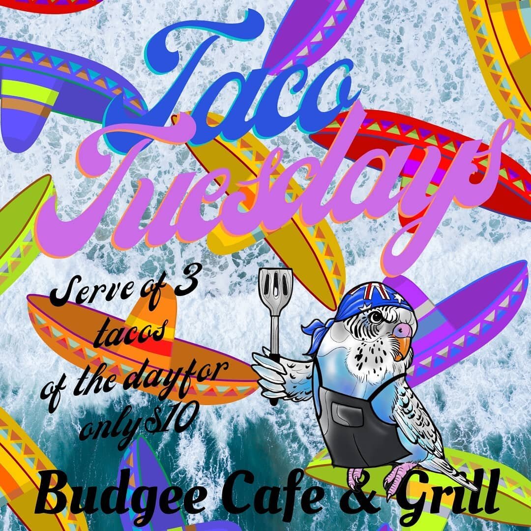 Not Juan but THREE tacos of the day for $10! Will our tacos of the day be a treasured classic? Or a new flavour fiesta??? 🎉🥳🪅Come down to @budgeecafe for lunch from 11.30am to find out 🤗😋