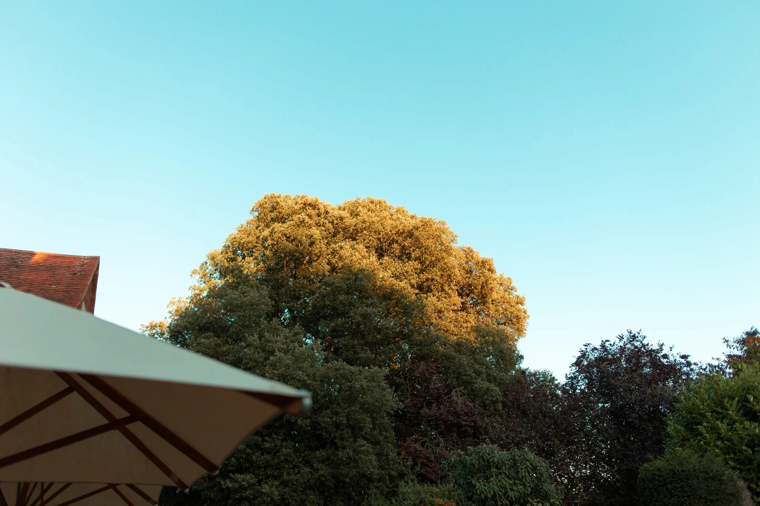 Tyler and Kye-578.jpg