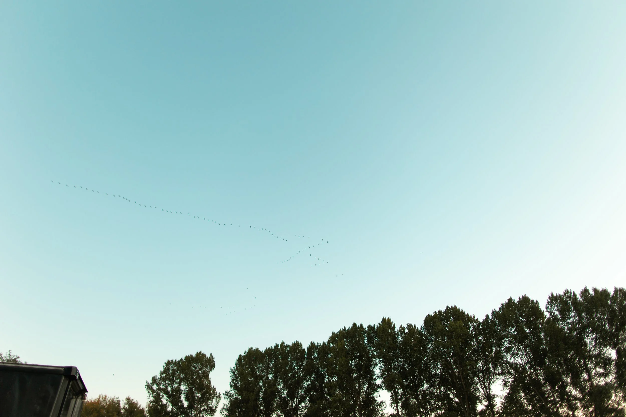 Tyler and Kye-720.jpg