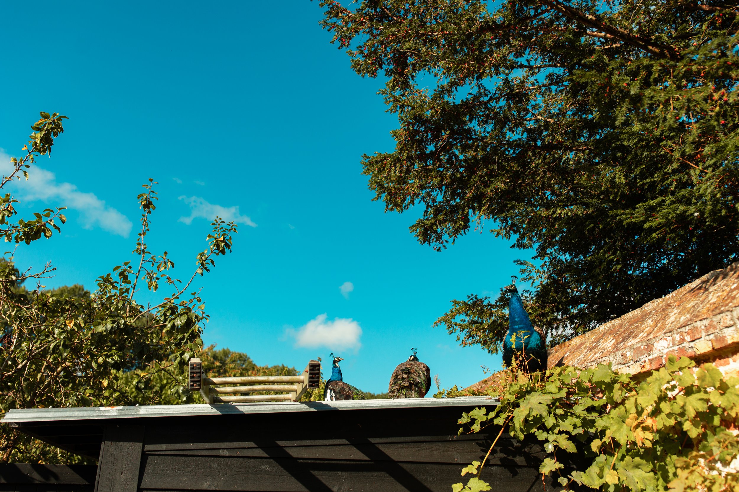 Tyler and Kye-004.jpg