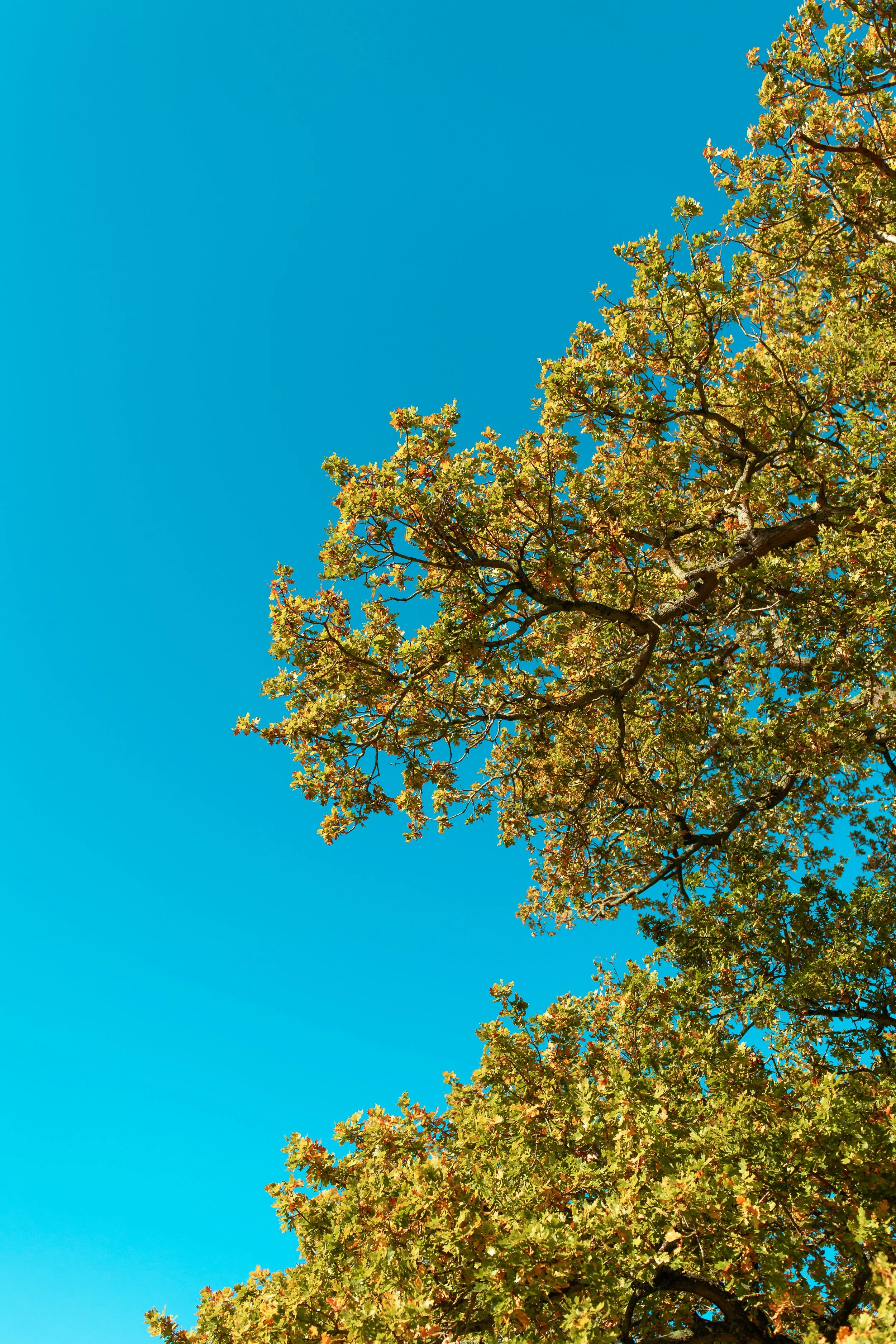 Toni-Jade and Kurt-022.jpg