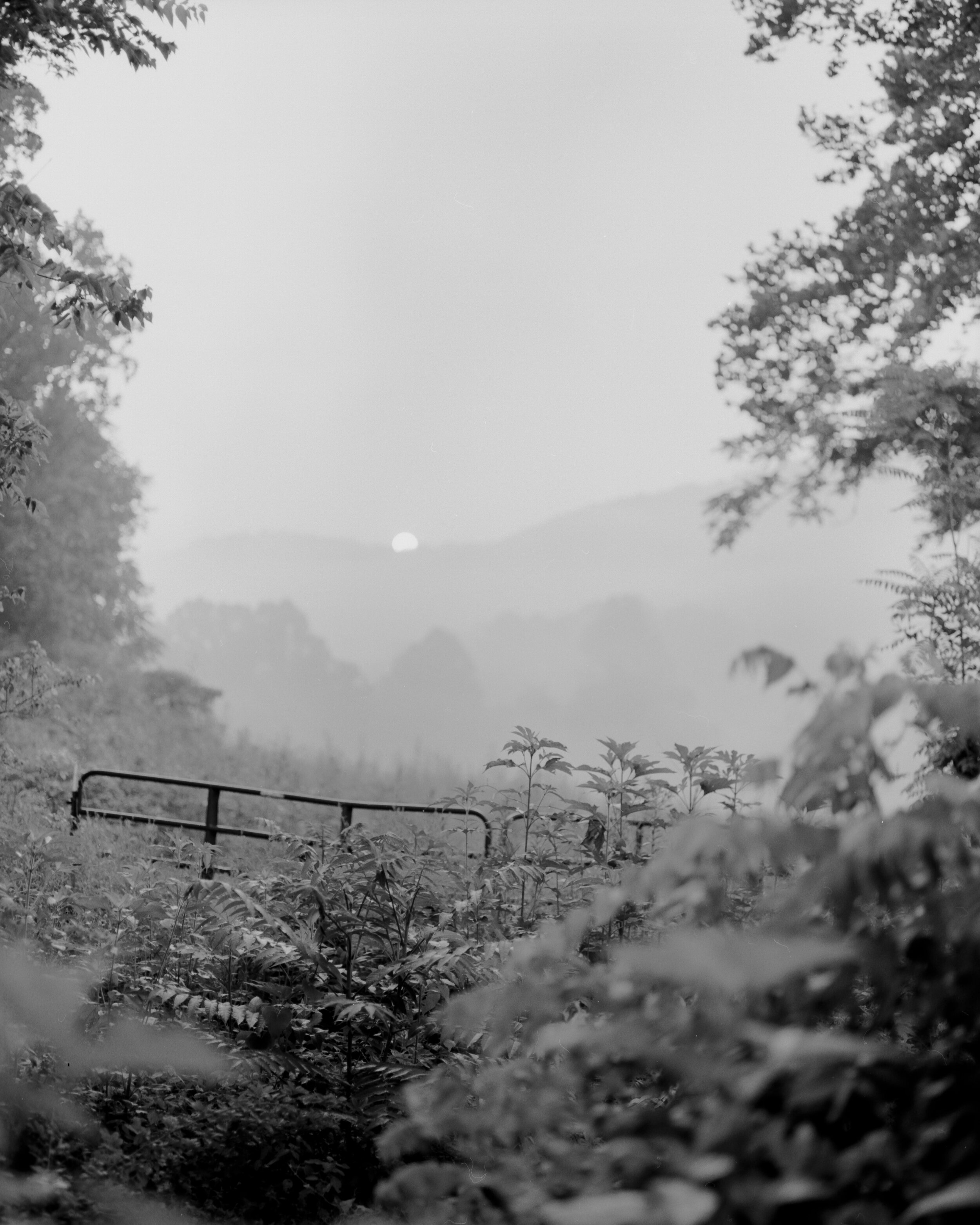 TMX7July3 (Custom).jpg