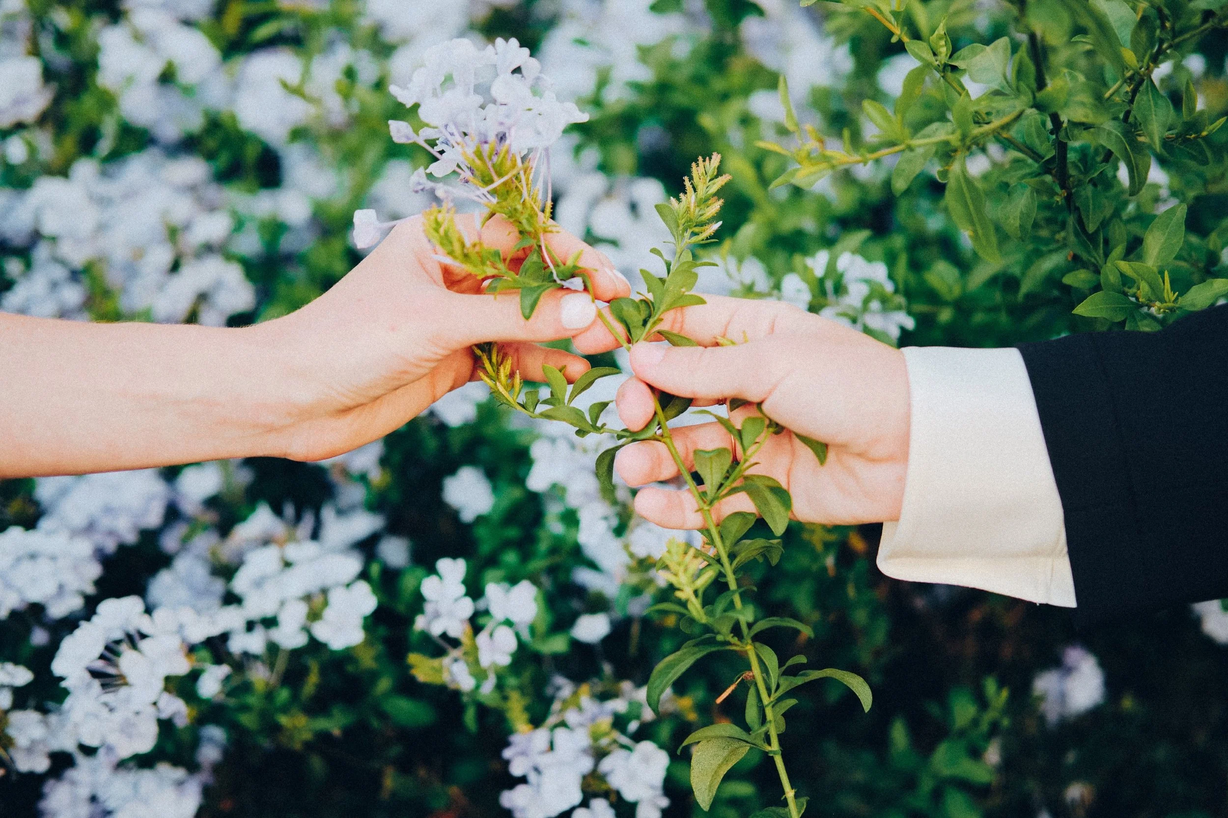 Hannah + Meagan 4971 (Squarespace).jpg