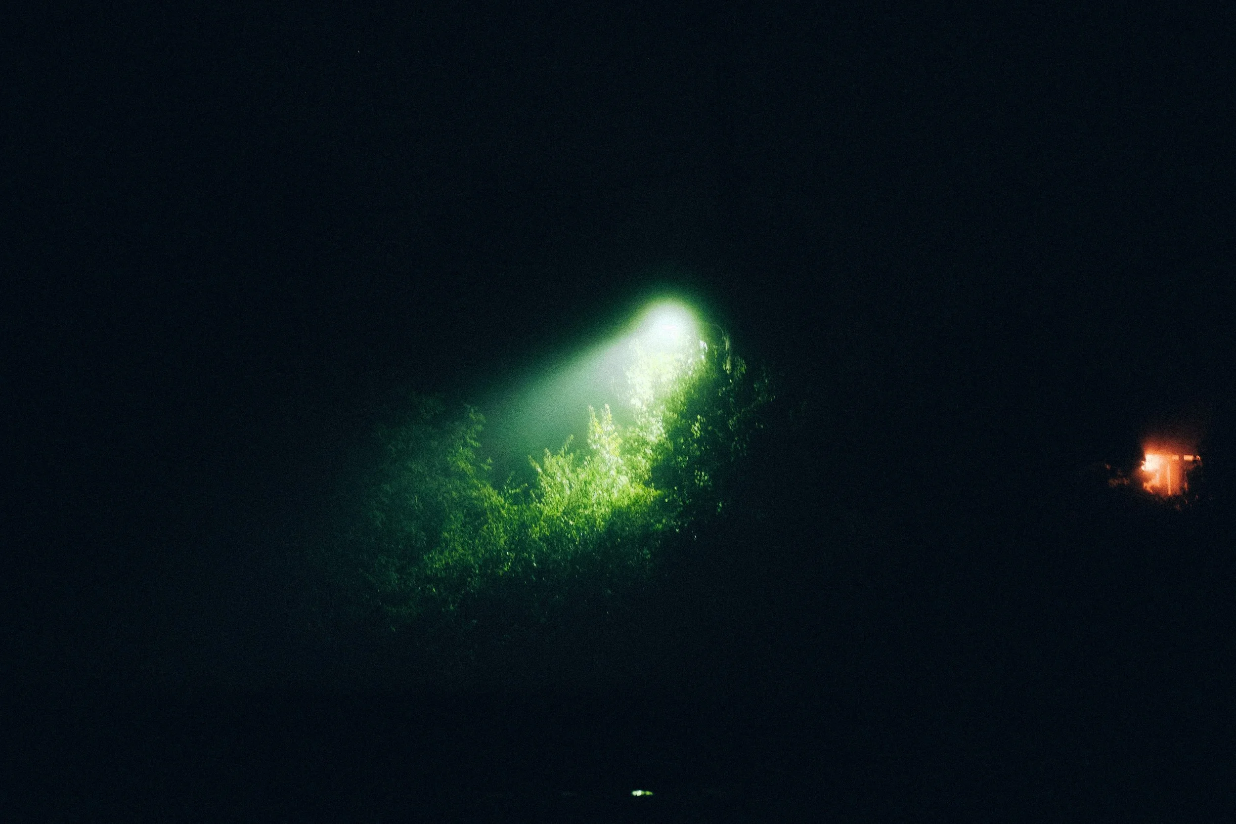 X-Pro2 7-7-22-5.jpg