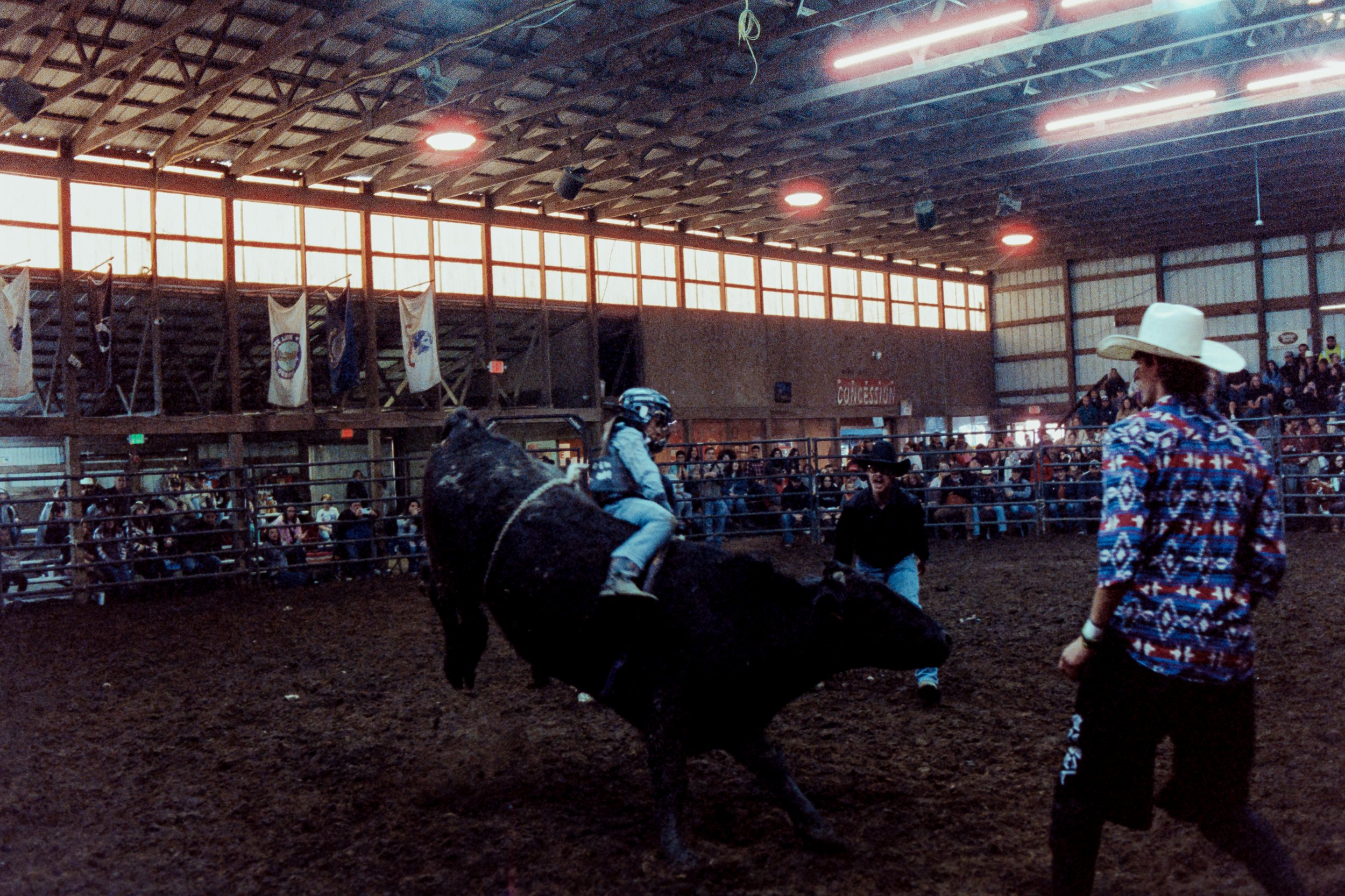 Rodeo II 800TAA014.jpg