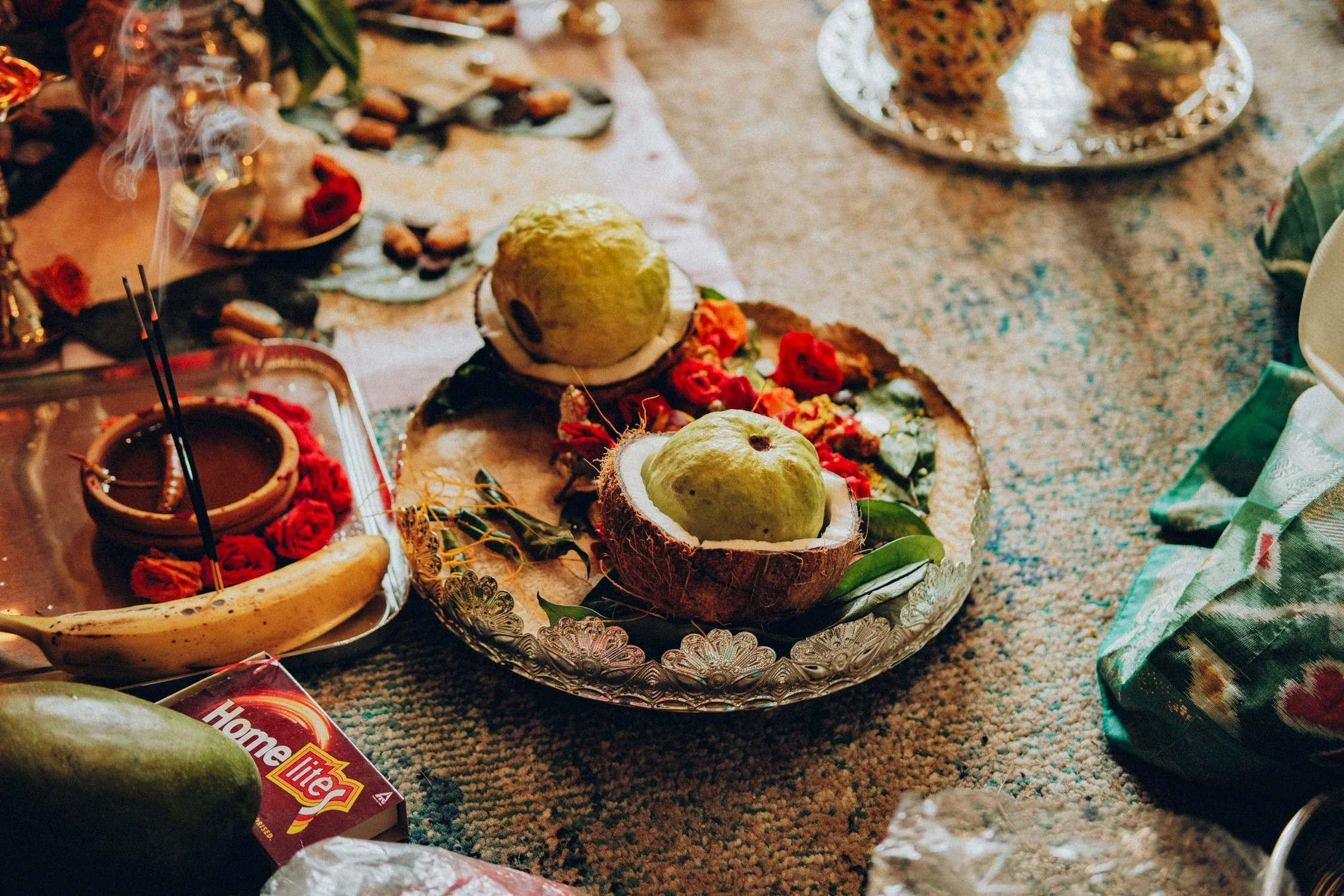 Julia x Prudhvi-58196.jpg