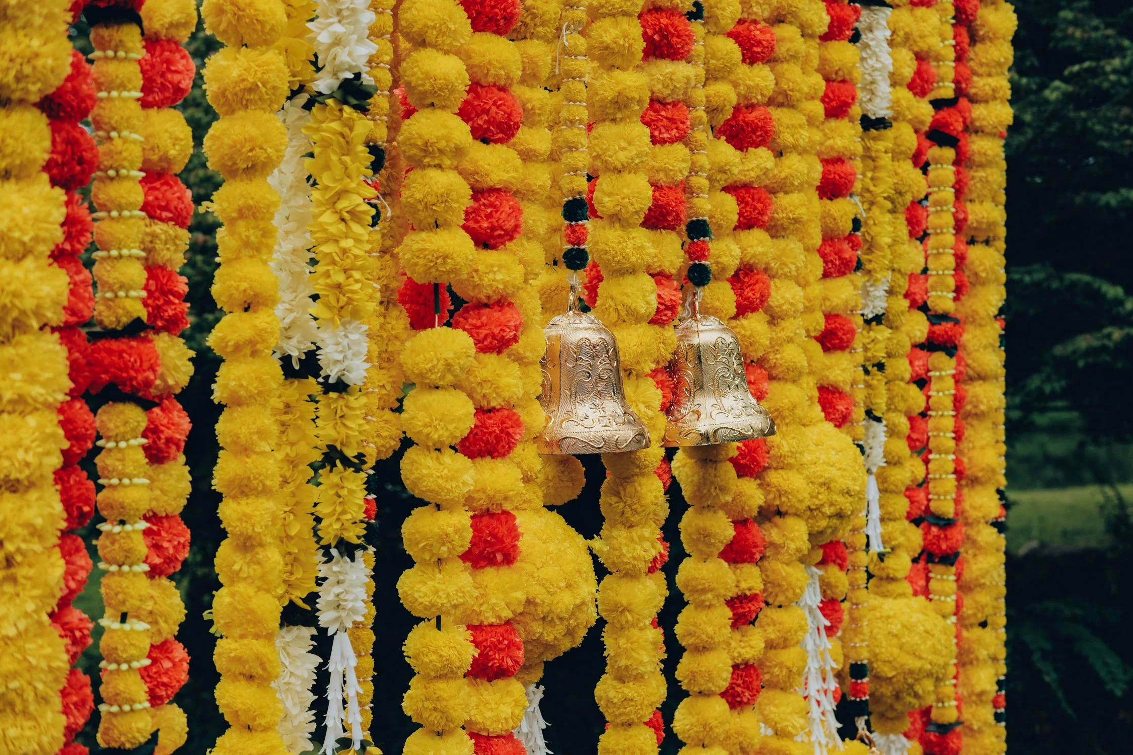 Julia x Prudhvi-55351.jpg