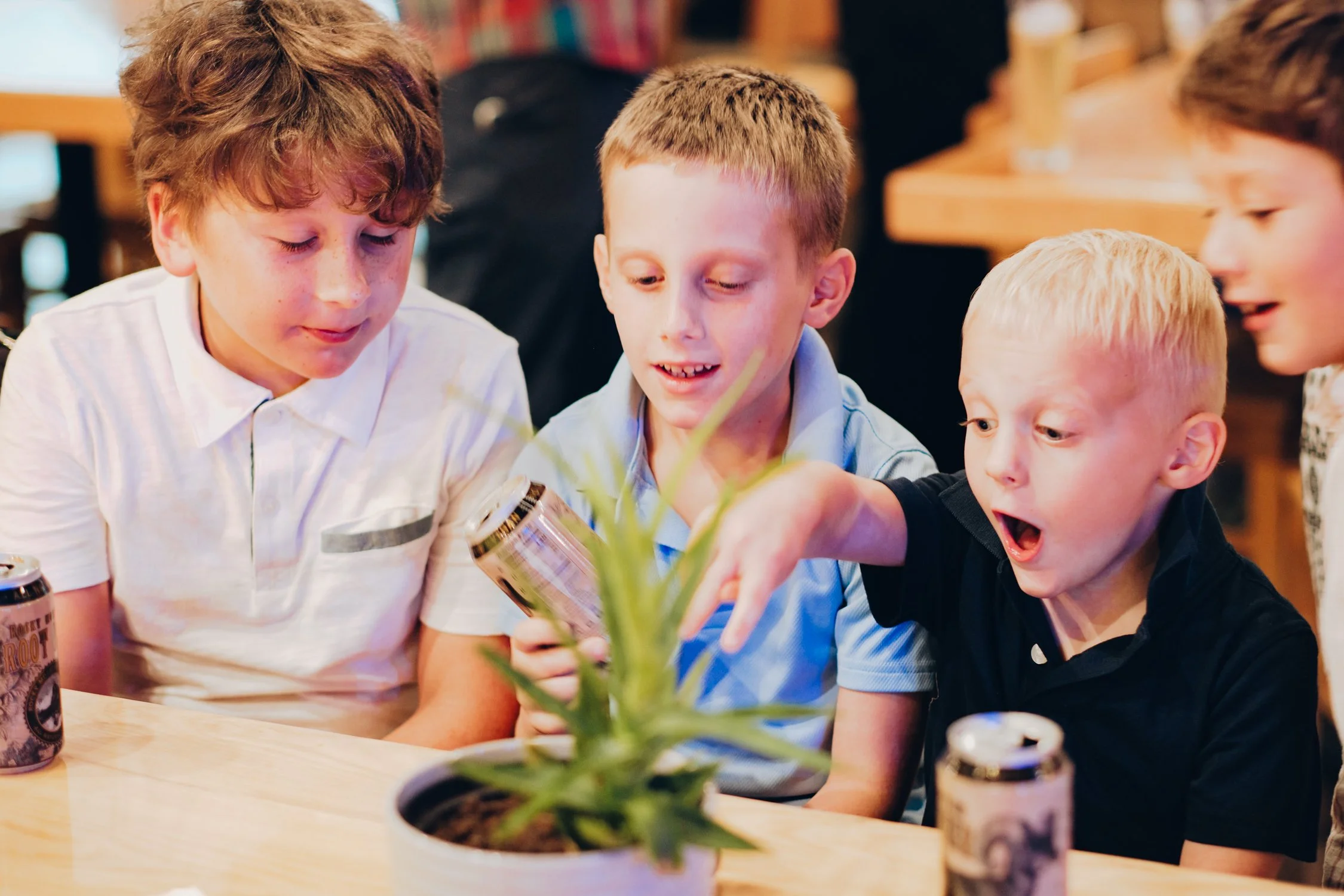 Julia x Prudhvi-0981.jpg