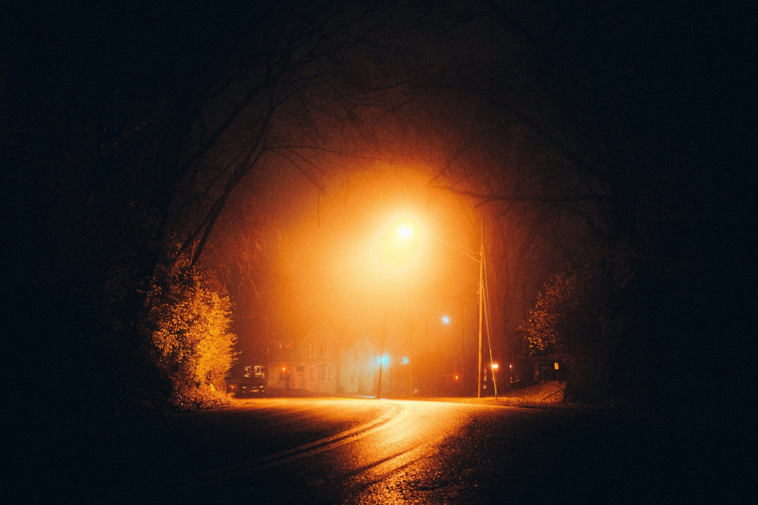 _DSF8776.jpg