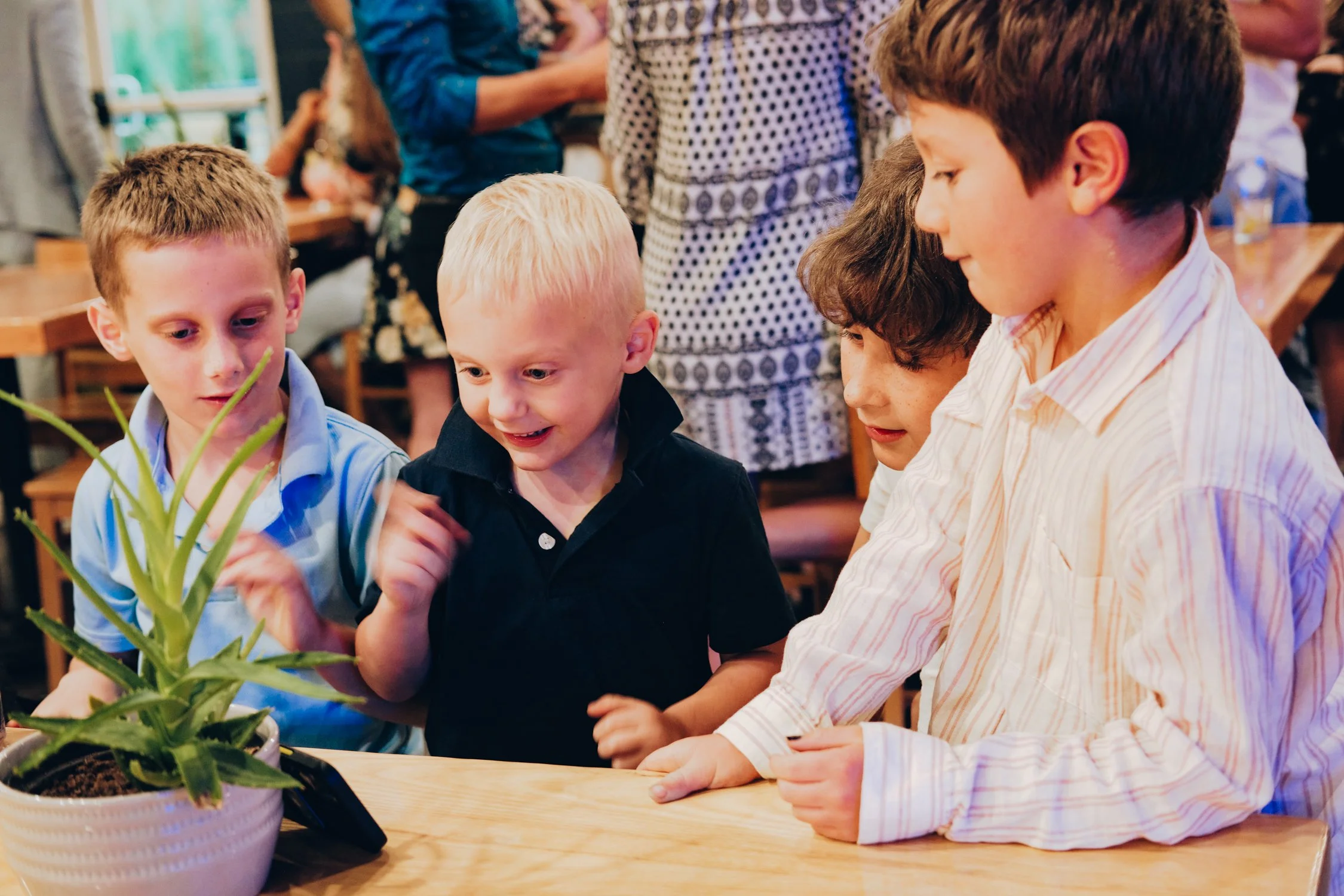 Julia x Prudhvi-57690.jpg