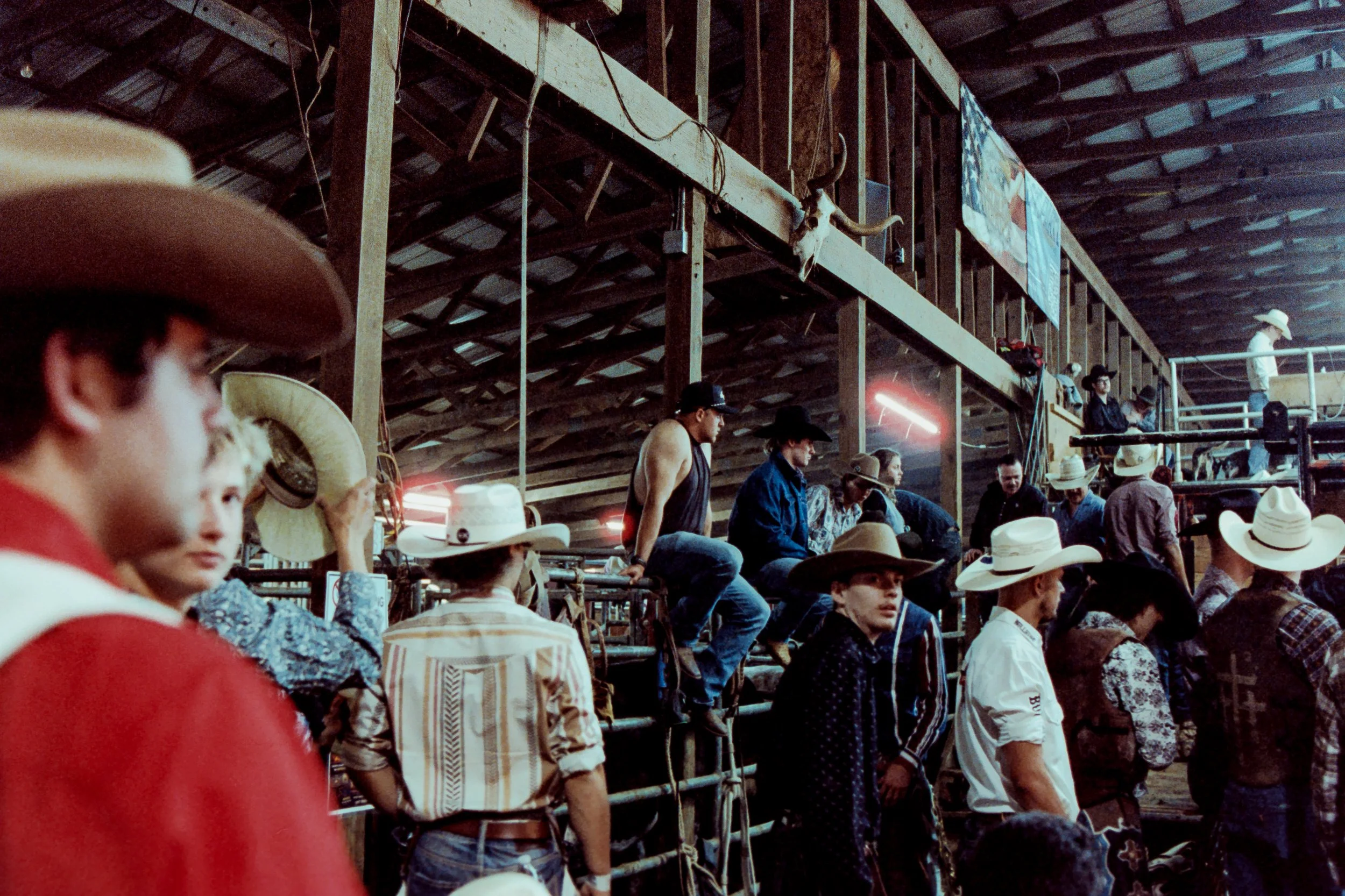 Rodeo II 800TAA021.jpg