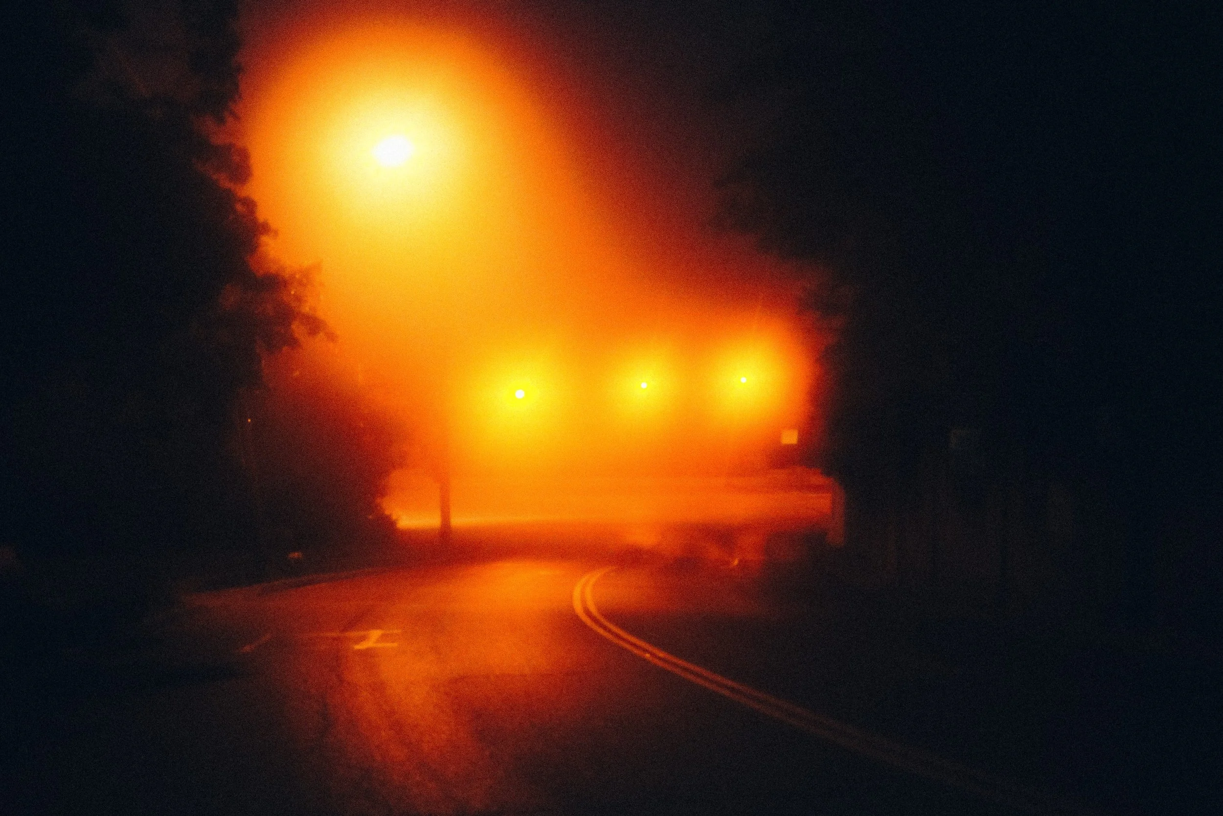 DSCF2111.jpg