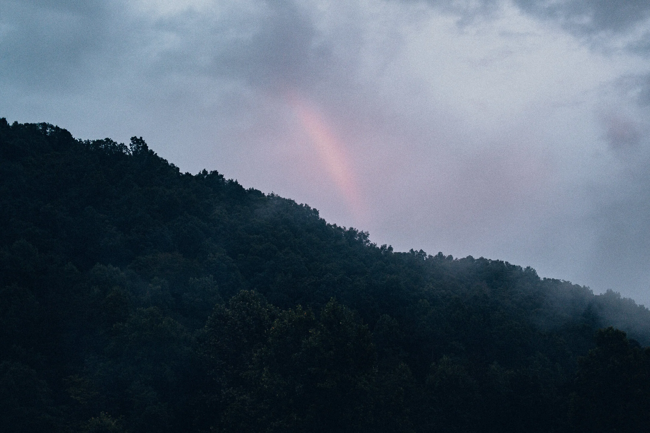 DSCF0524.jpg