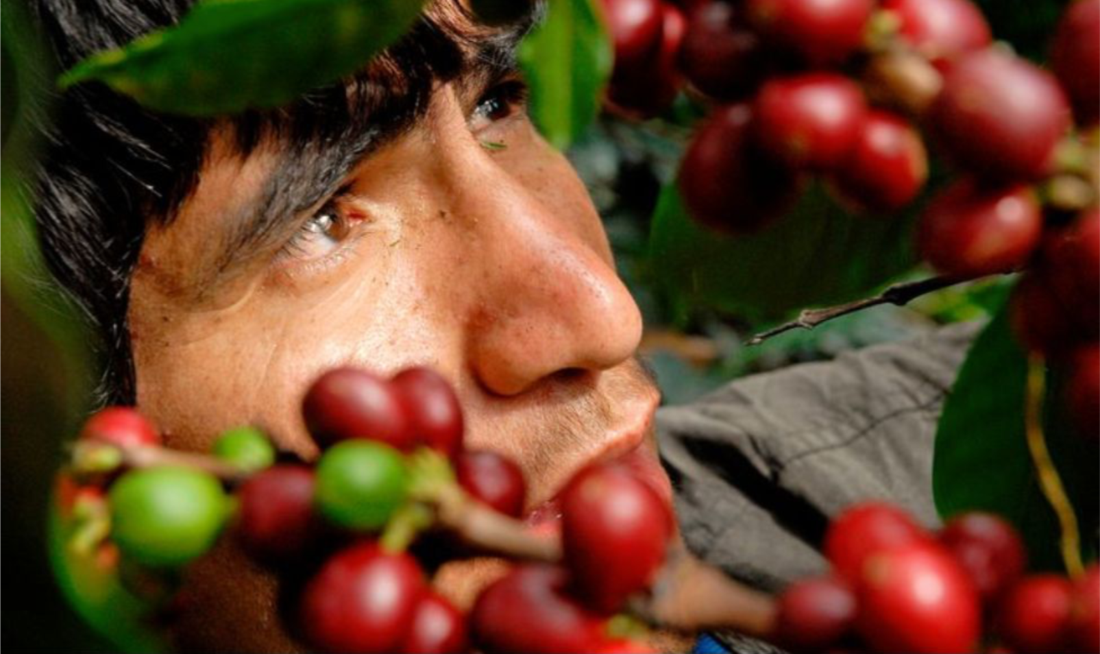 Lekkere koffie, eerlijk loon voor de boer én aandacht voor het milieu: het kan
