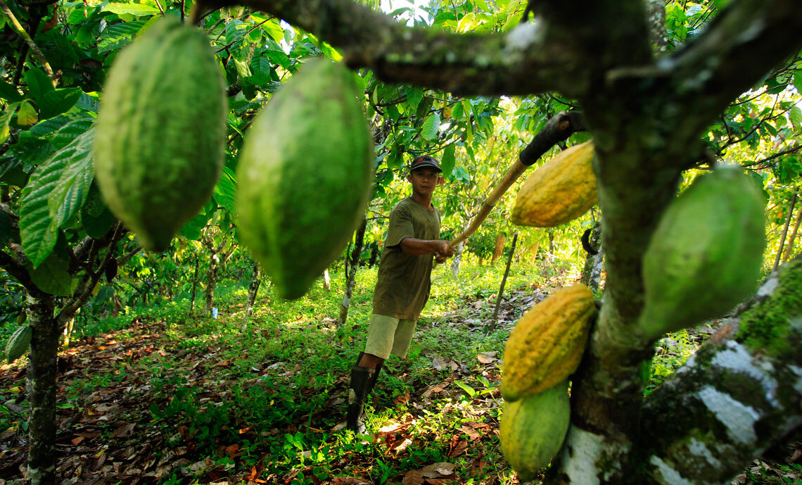 Blockchain to restore trust in food supply chains?