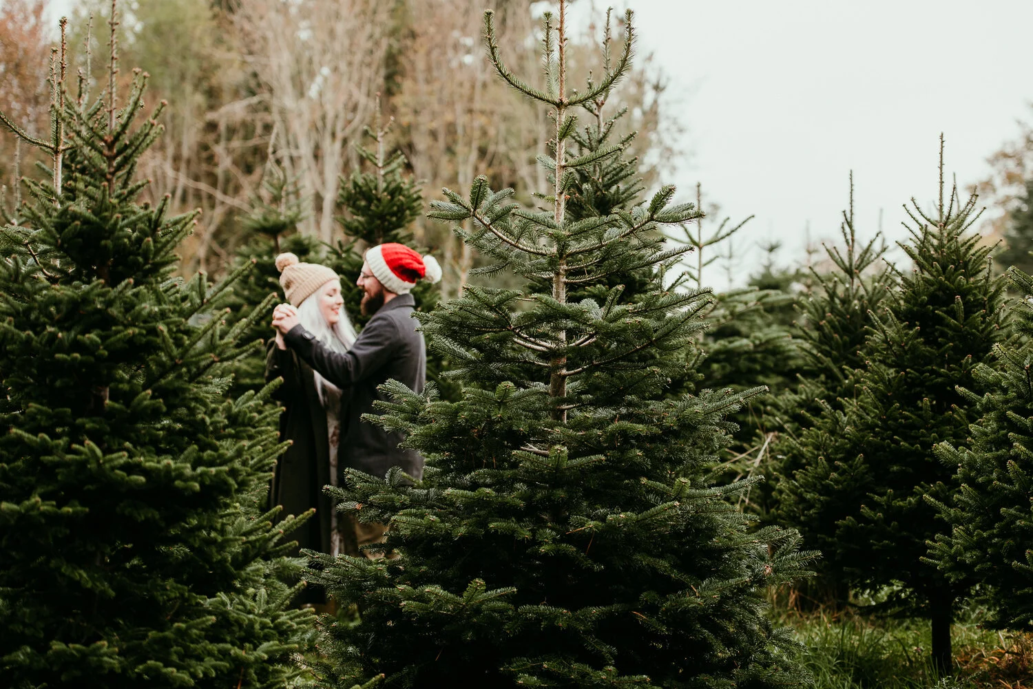 christmas-tree-farm-shoot-10035.jpg