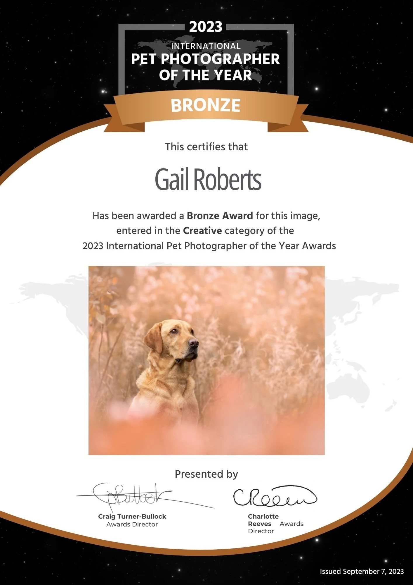 Gail Roberts Dog Photographer Belfast.pdf.jpg