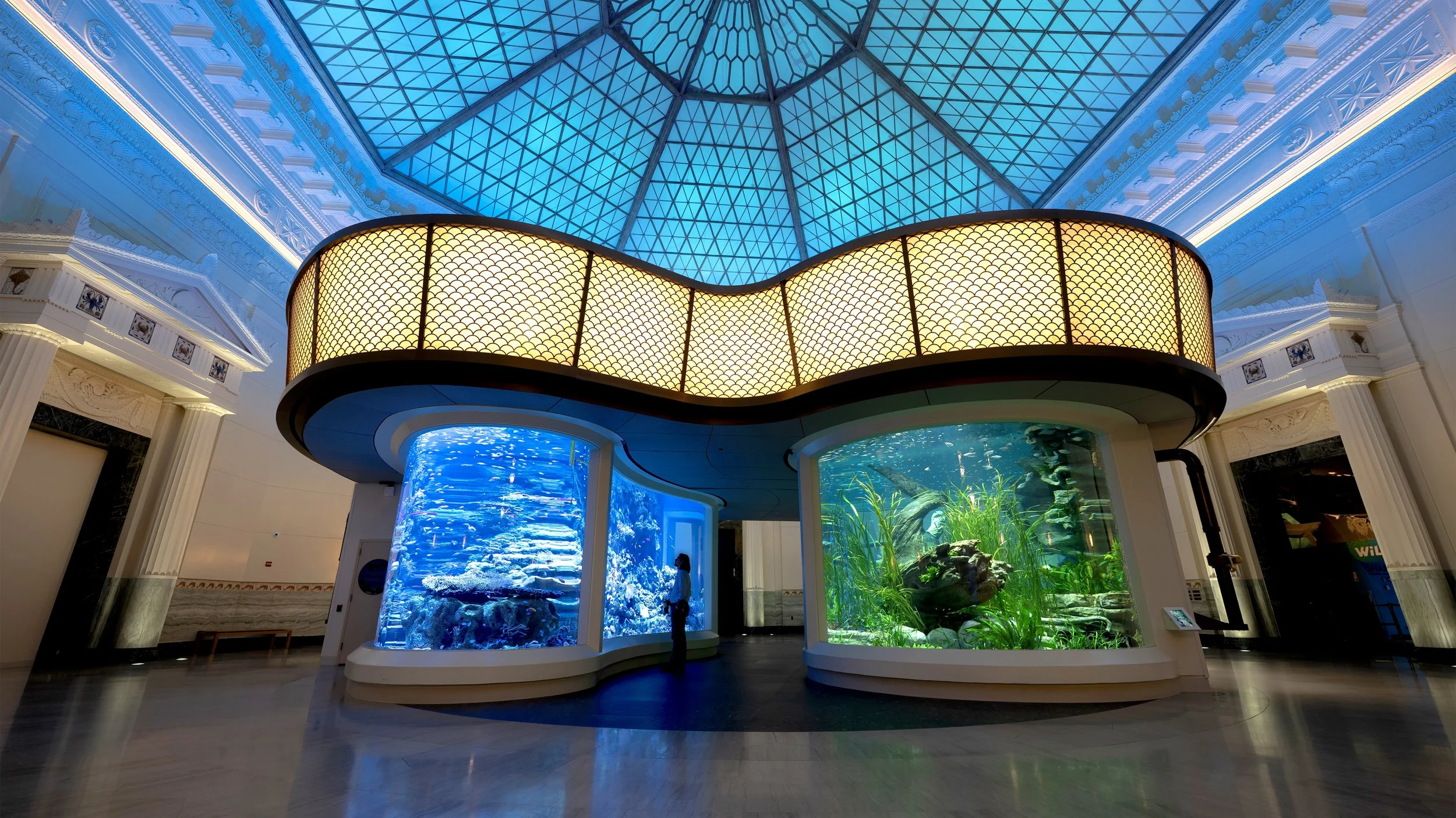 Shedd Tanks Edited sgr.jpg