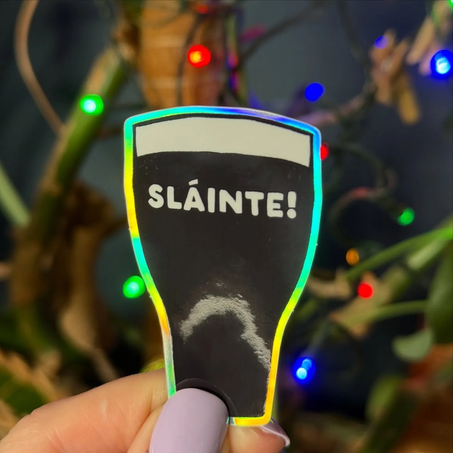 ✨🌈 Newness 🌈✨