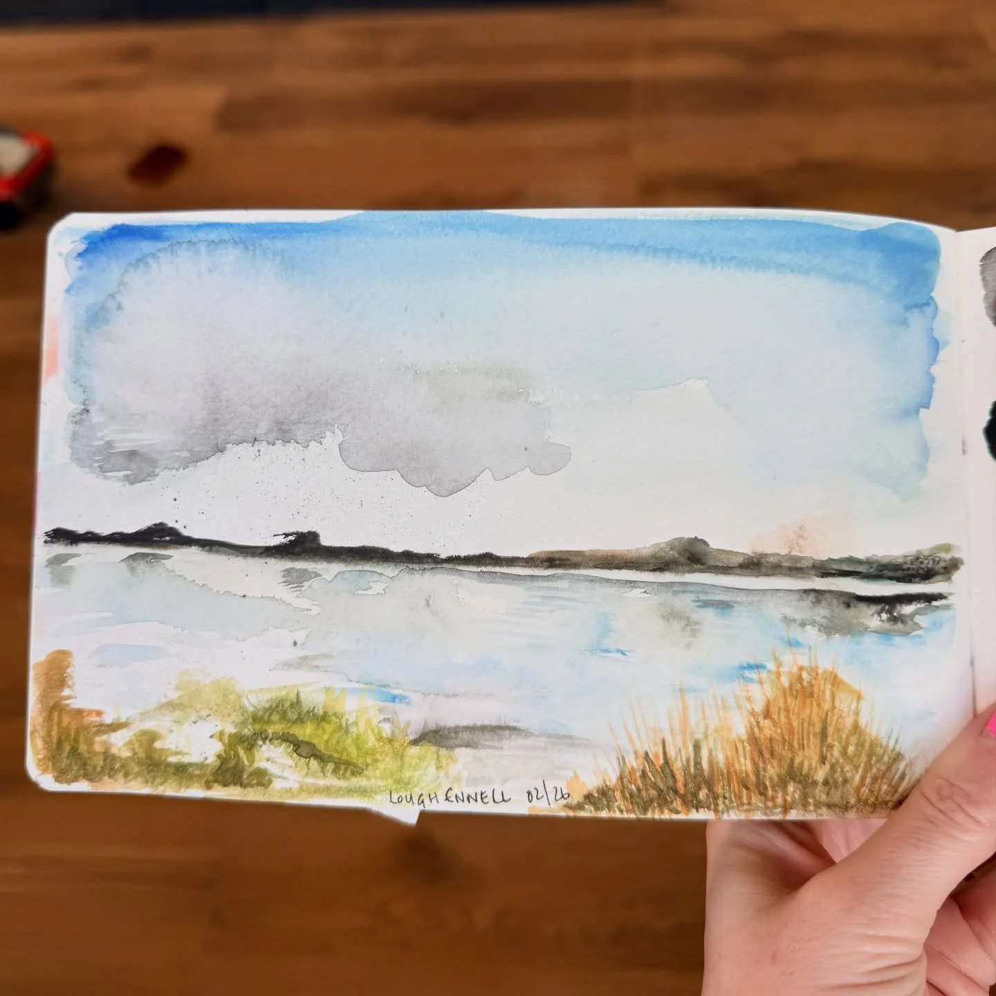 Sunday - rainy, feeling uninspired, tired and overwhelmed so here&rsquo;s a wee doodle from a recent trip to Lough Ennell, a gorgeous spot and the starling murmurations were unbelievable!

Actually thinking back to this I had loads of ideas for a new