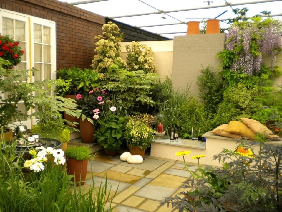 33.JPG