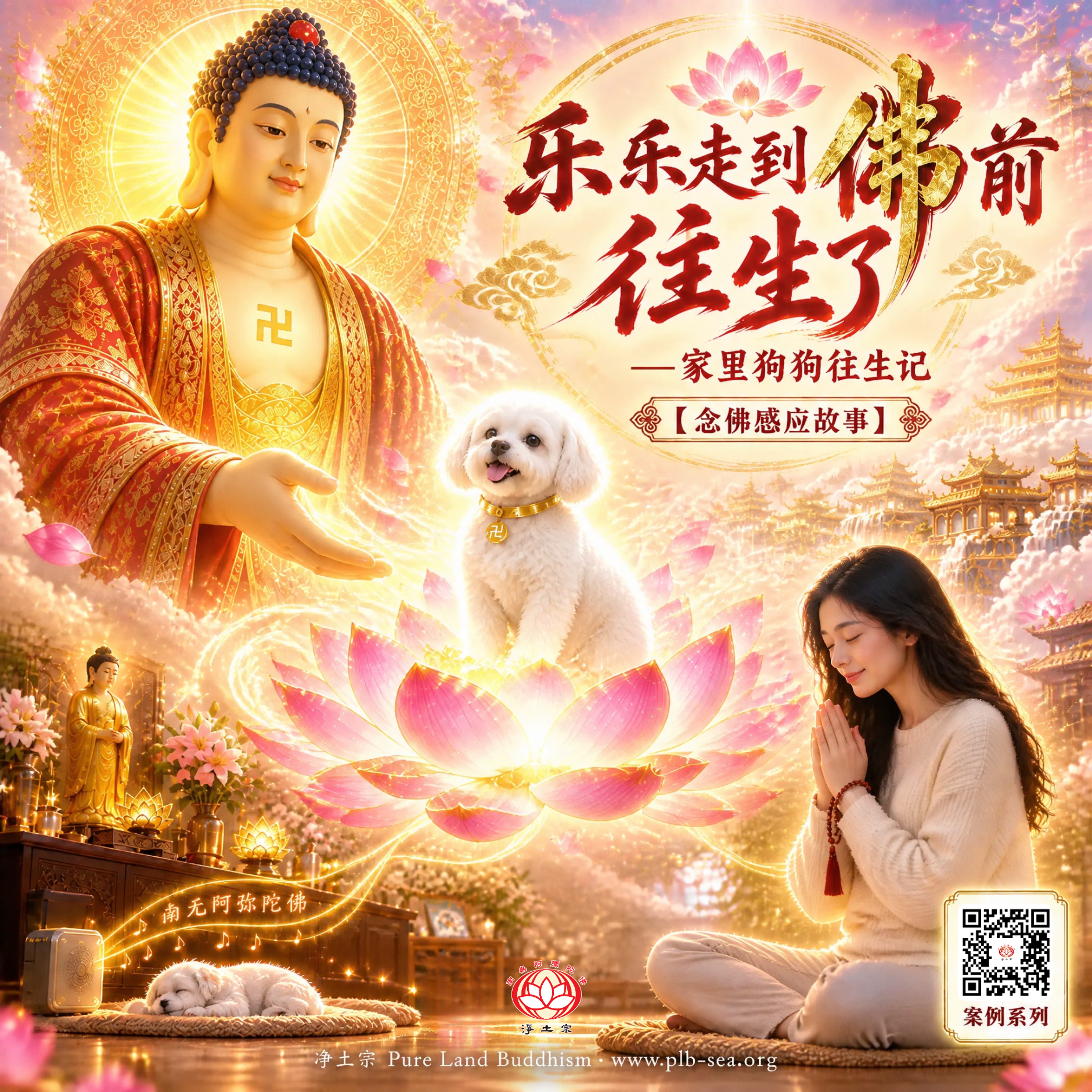 乐乐走到佛前，往生了——家里狗狗往生记