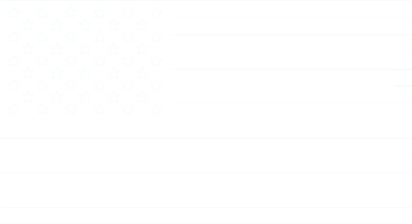 Black and white American flag with black stripes and stars.