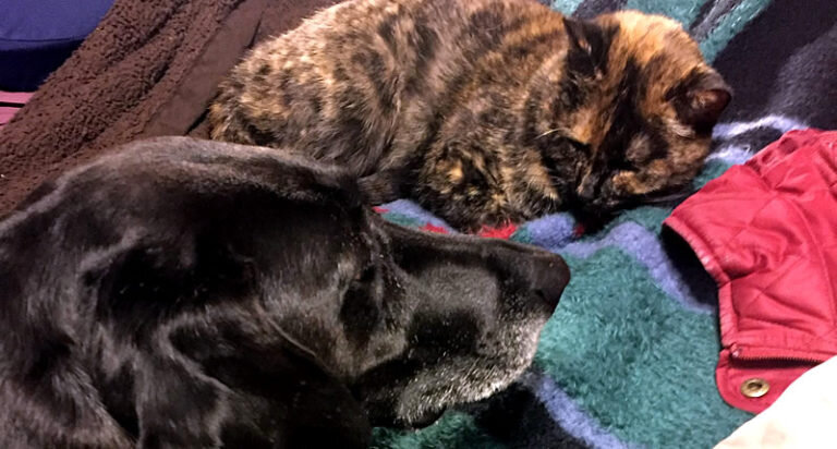 a little mass hysteria among friends