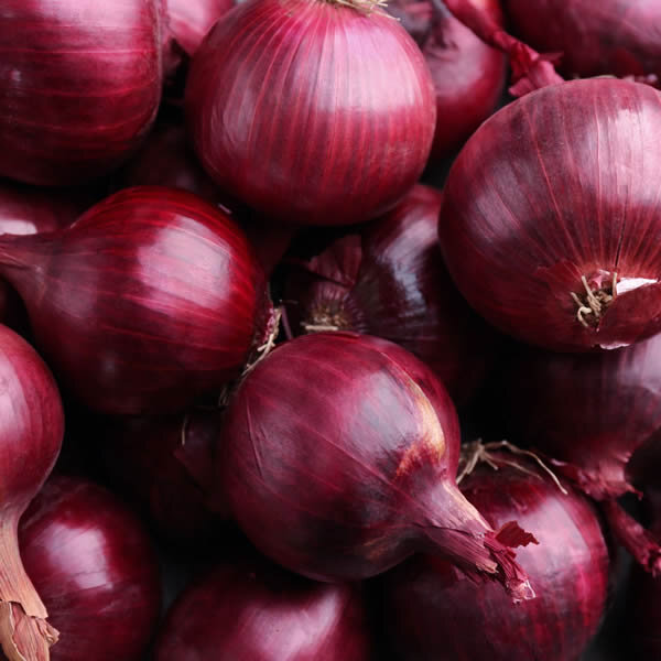 this food bully’s reign of terror must be stopped
