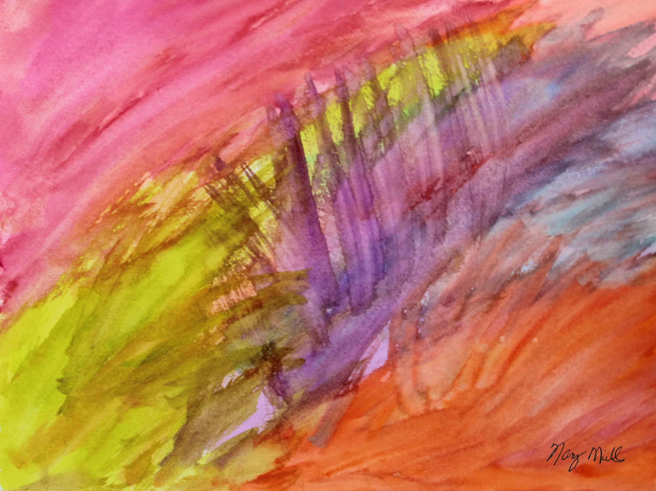 The Beauty of the Deep Sea