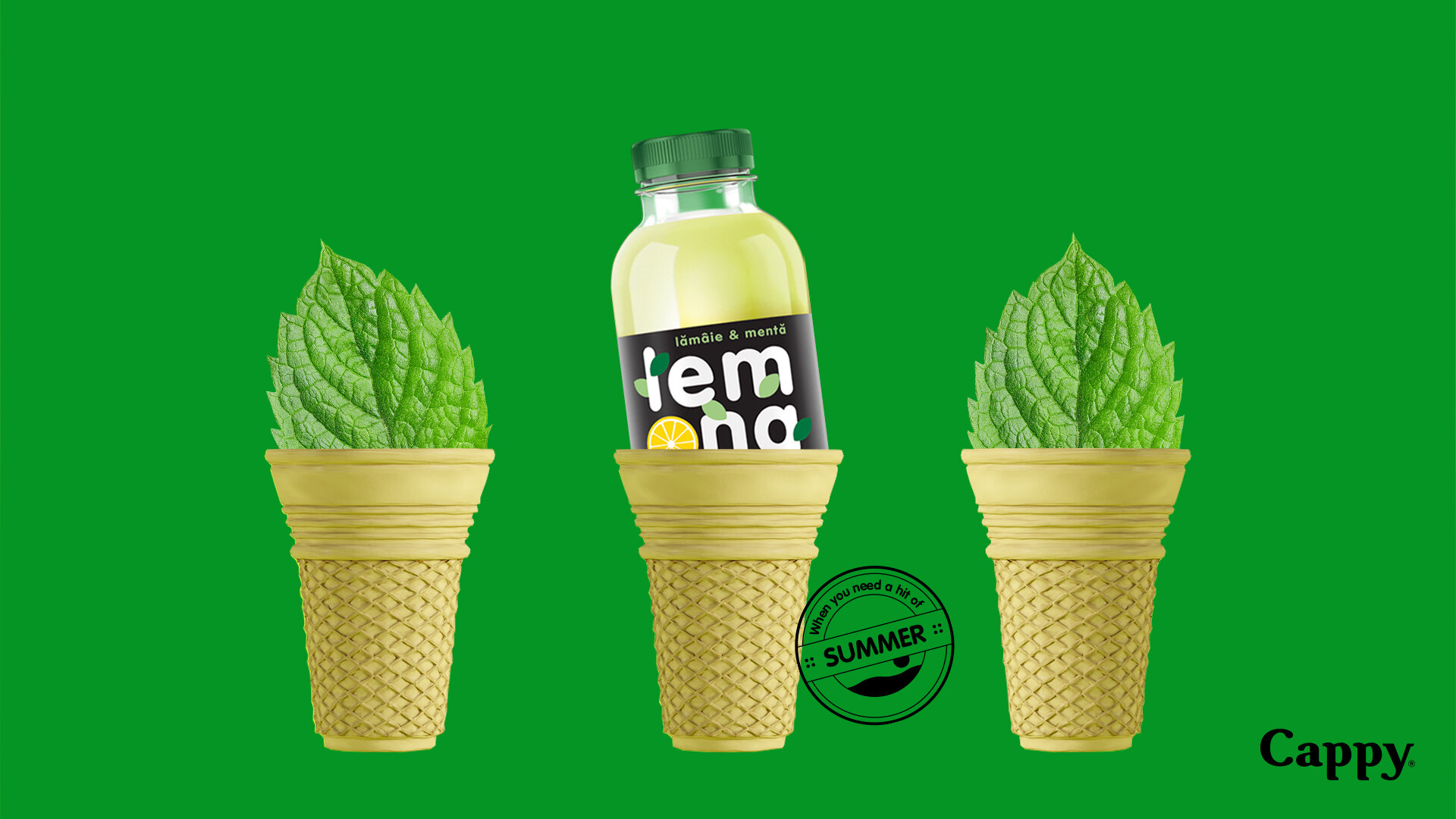 Mint_1.jpg