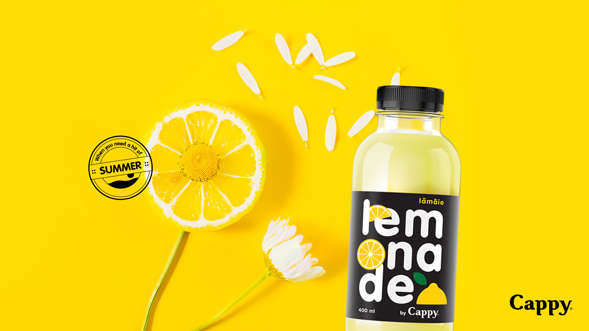 Lemon_1.jpg