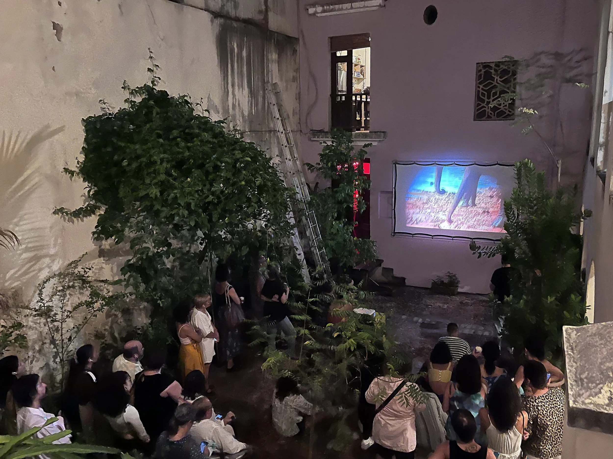 Karen jardin Contrafuertes cuero duro.jpeg