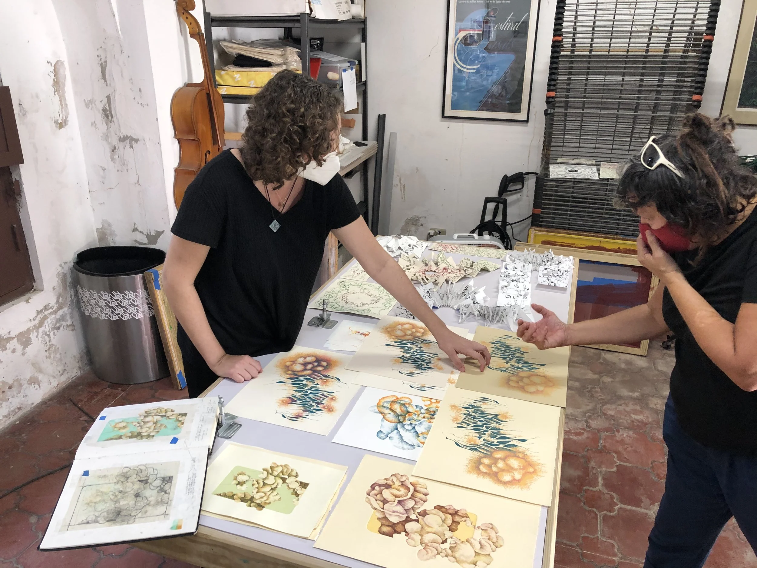 Krystal residencia 4.jpeg